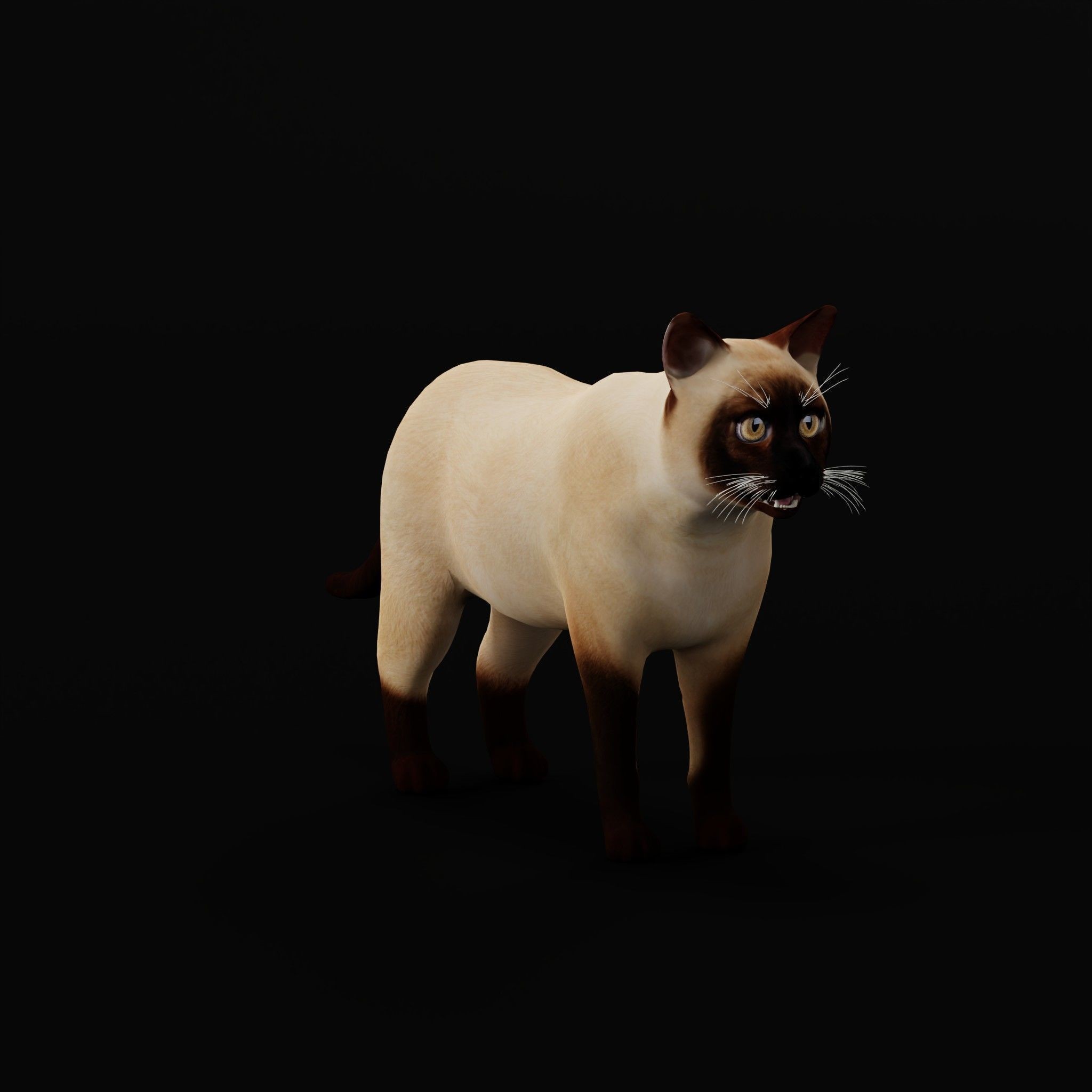 Cats 3D Model – Low Poly Game Ready with 27 Animations, FBX - View 23