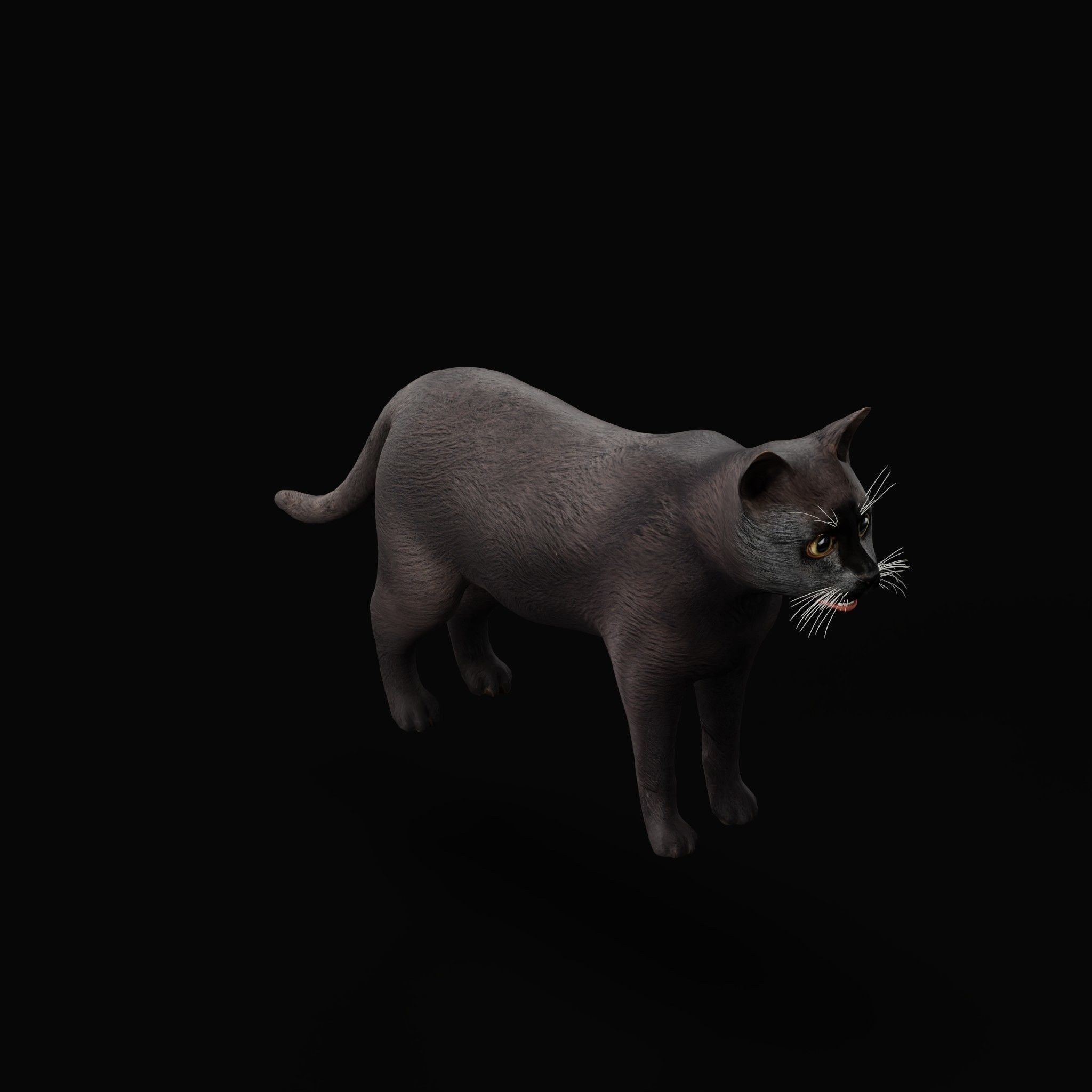 Cats 3D Model – Low Poly Game Ready with 27 Animations, FBX - View 26