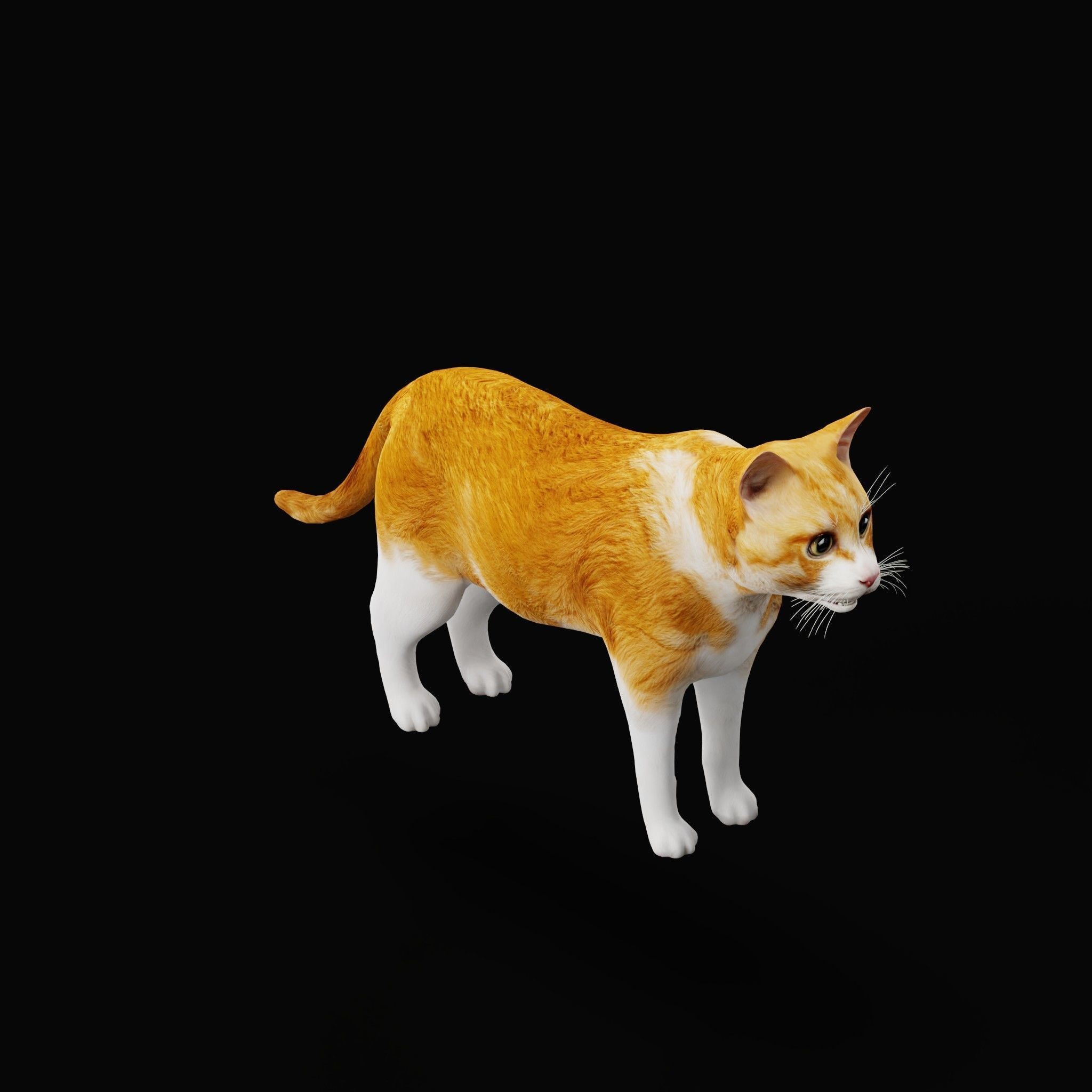 Cats 3D Model – Low Poly Game Ready with 27 Animations, FBX - View 29