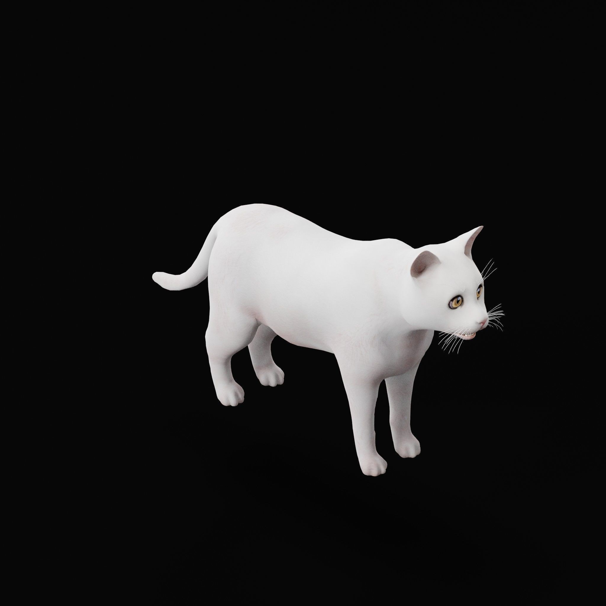 Cats 3D Model – Low Poly Game Ready with 27 Animations, FBX - View 31