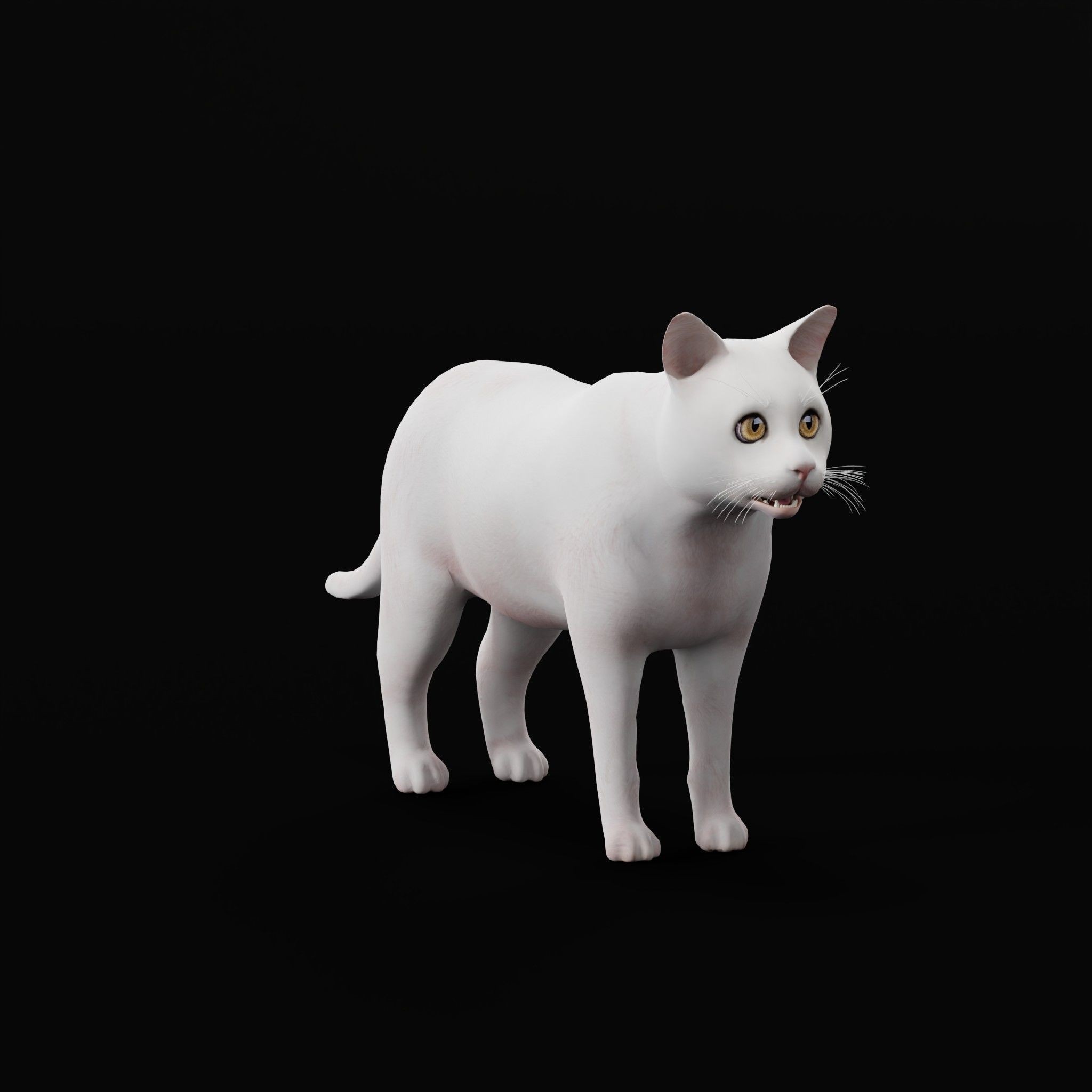 Cats 3D Model – Low Poly Game Ready with 27 Animations, FBX - View 32