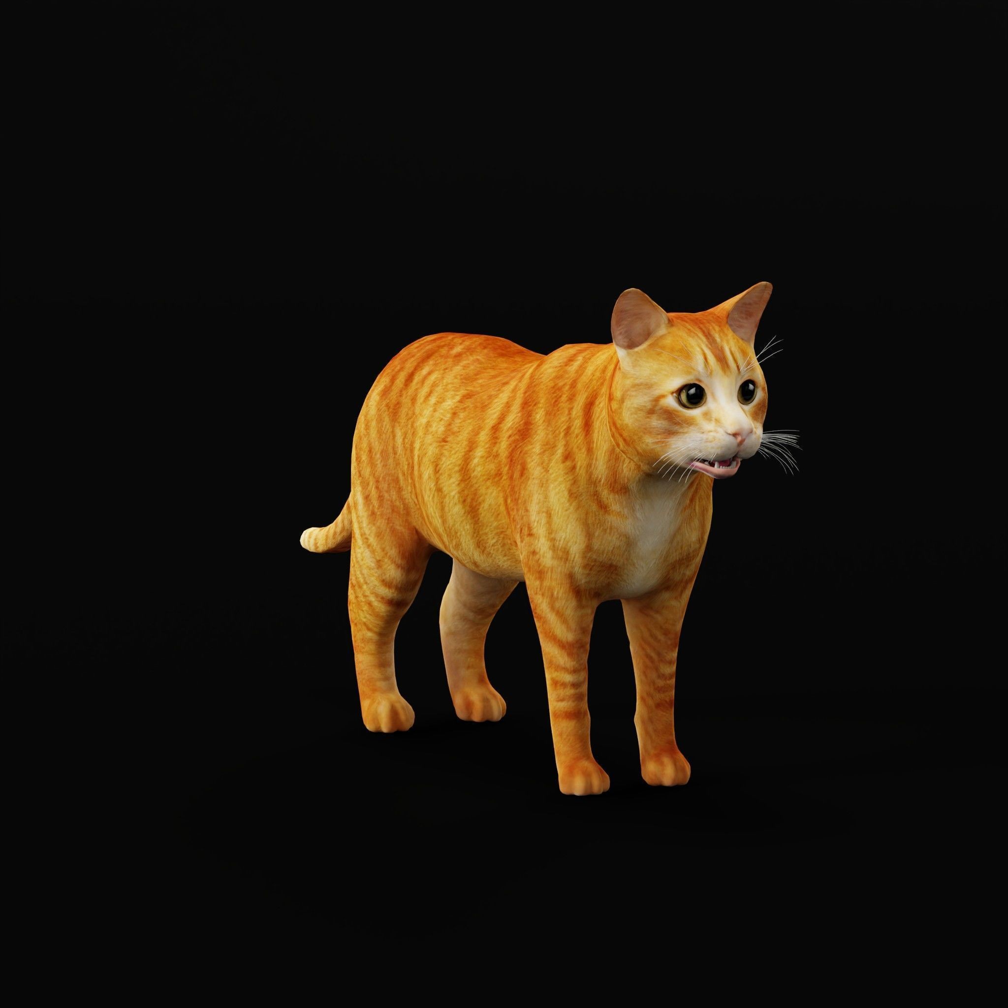 Cats 3D Model – Low Poly Game Ready with 27 Animations, FBX - View 33