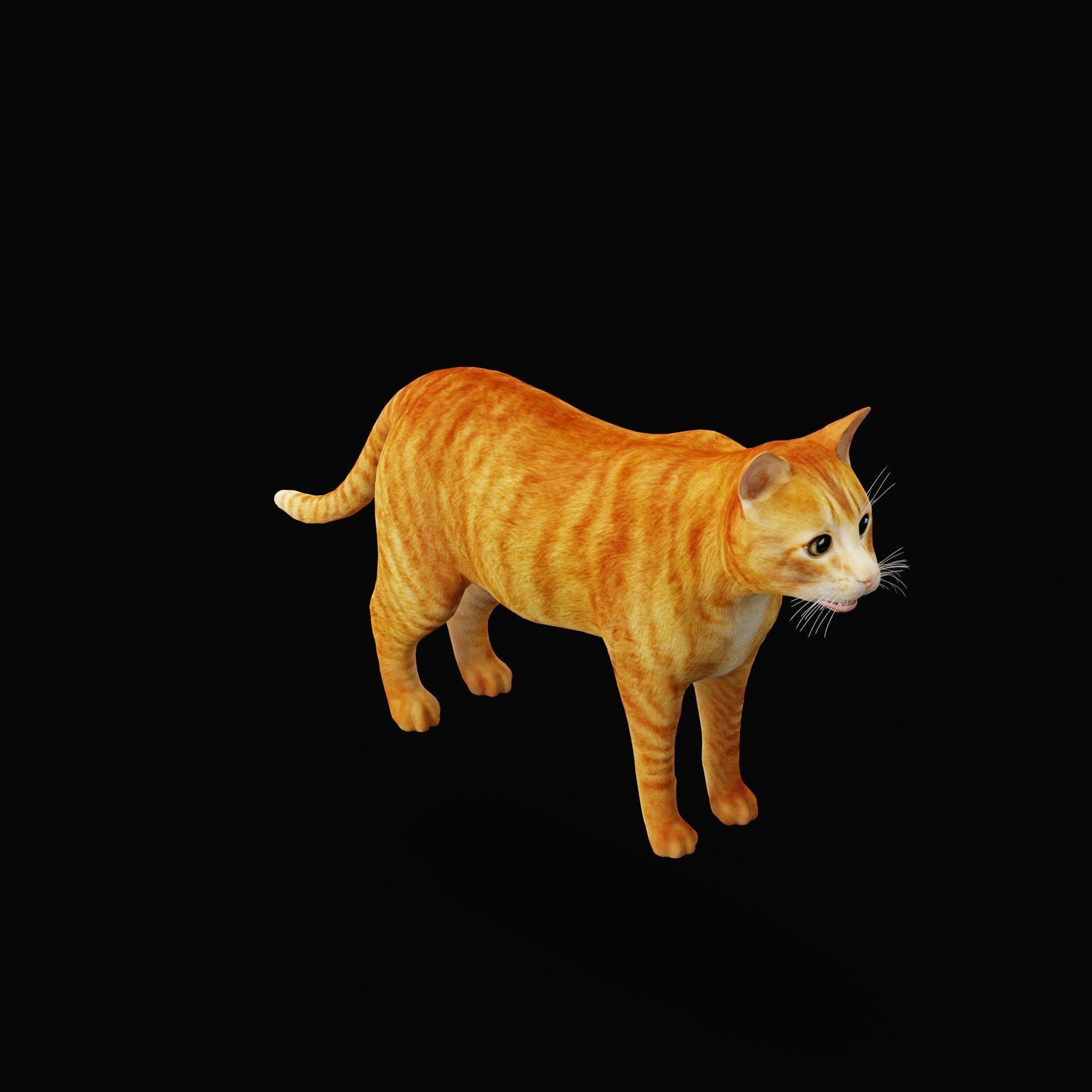 Cats 3D Model – Low Poly Game Ready with 27 Animations, FBX - View 34
