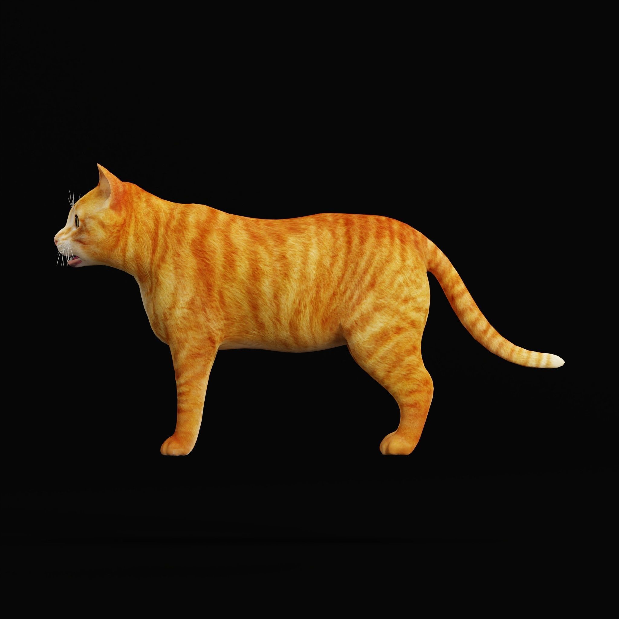 Cats 3D Model – Low Poly Game Ready with 27 Animations, FBX - View 35