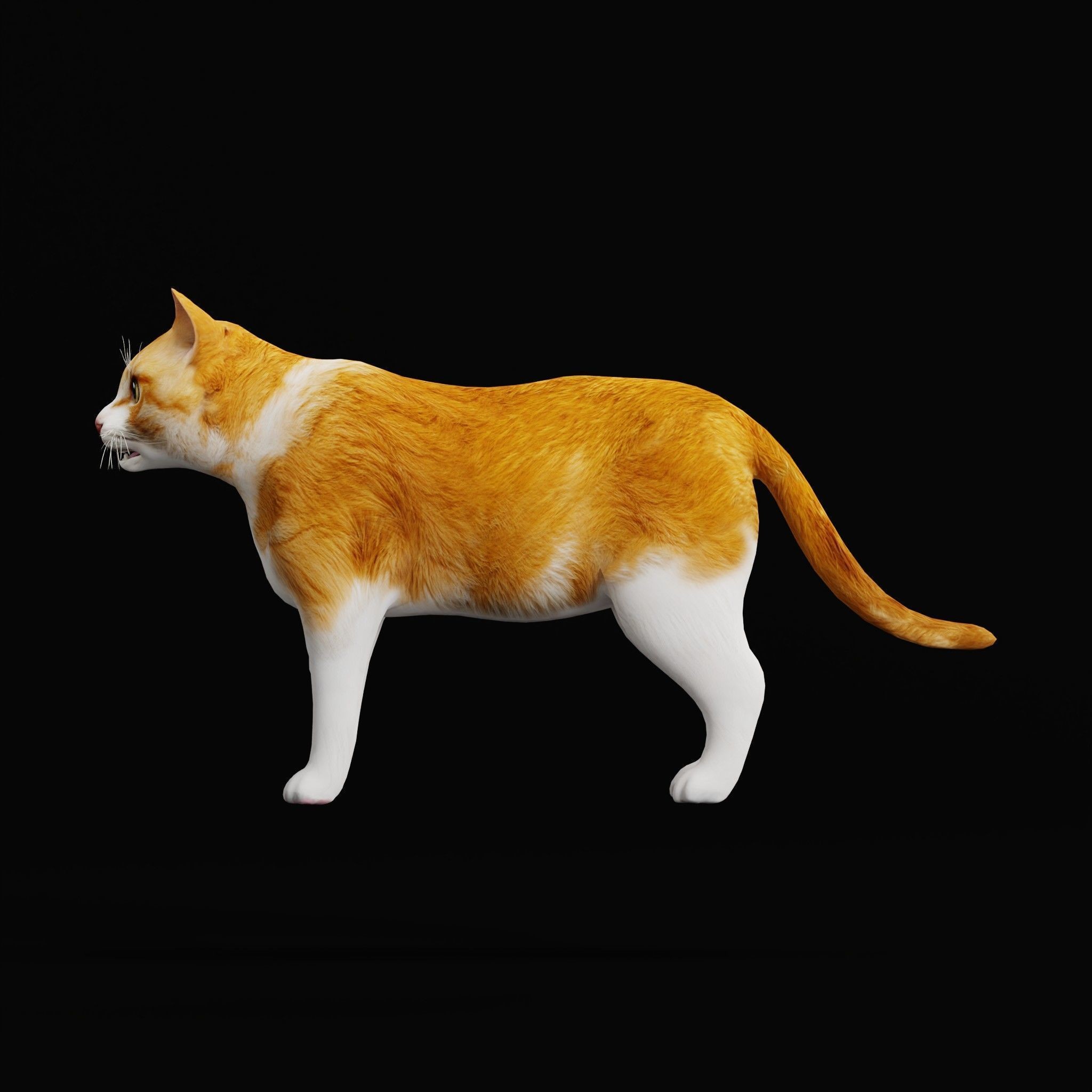 Cats 3D Model – Low Poly Game Ready with 27 Animations, FBX - View 36