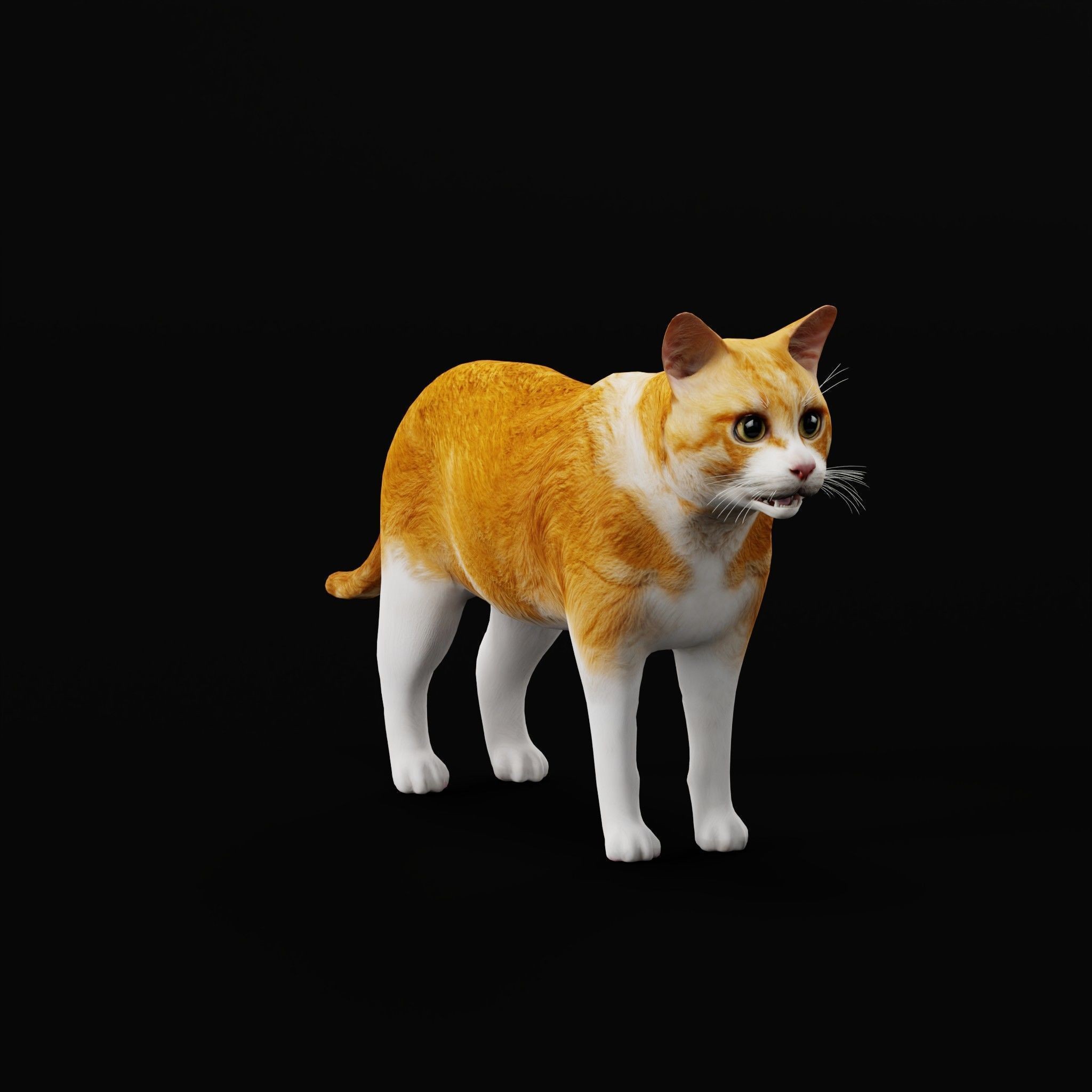 Cats 3D Model – Low Poly Game Ready with 27 Animations, FBX - View 37