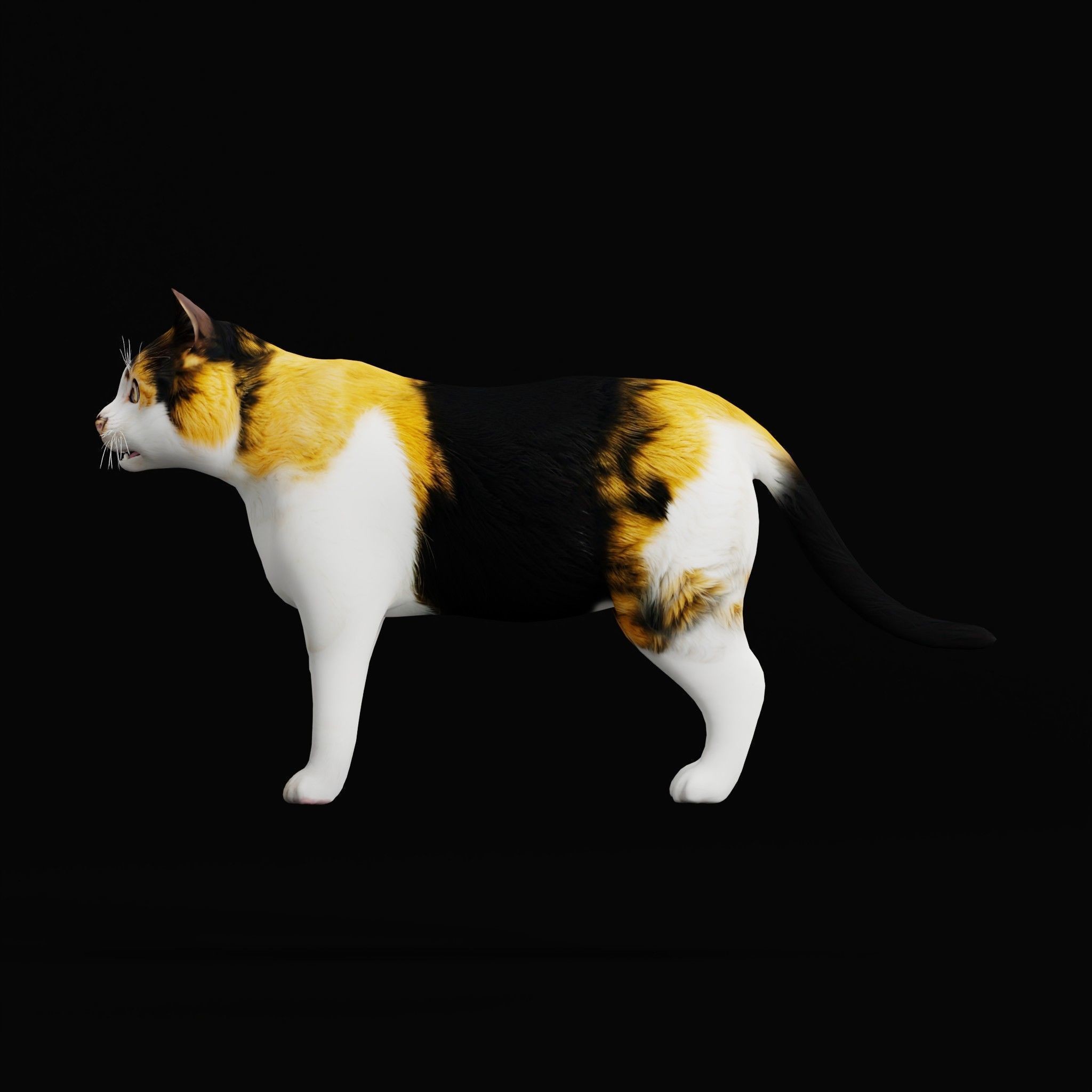 Cats 3D Model – Low Poly Game Ready with 27 Animations, FBX - View 38