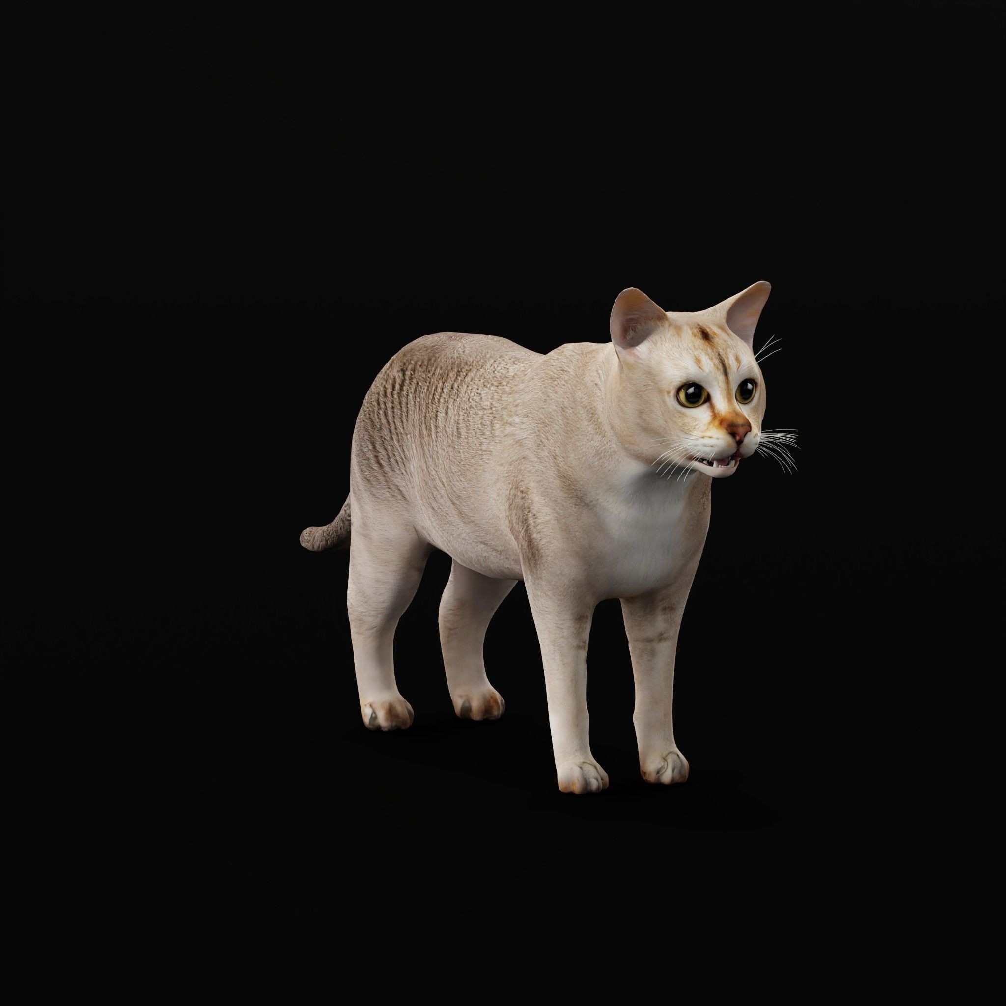 Cats 3D Model – Low Poly Game Ready with 27 Animations, FBX - View 39