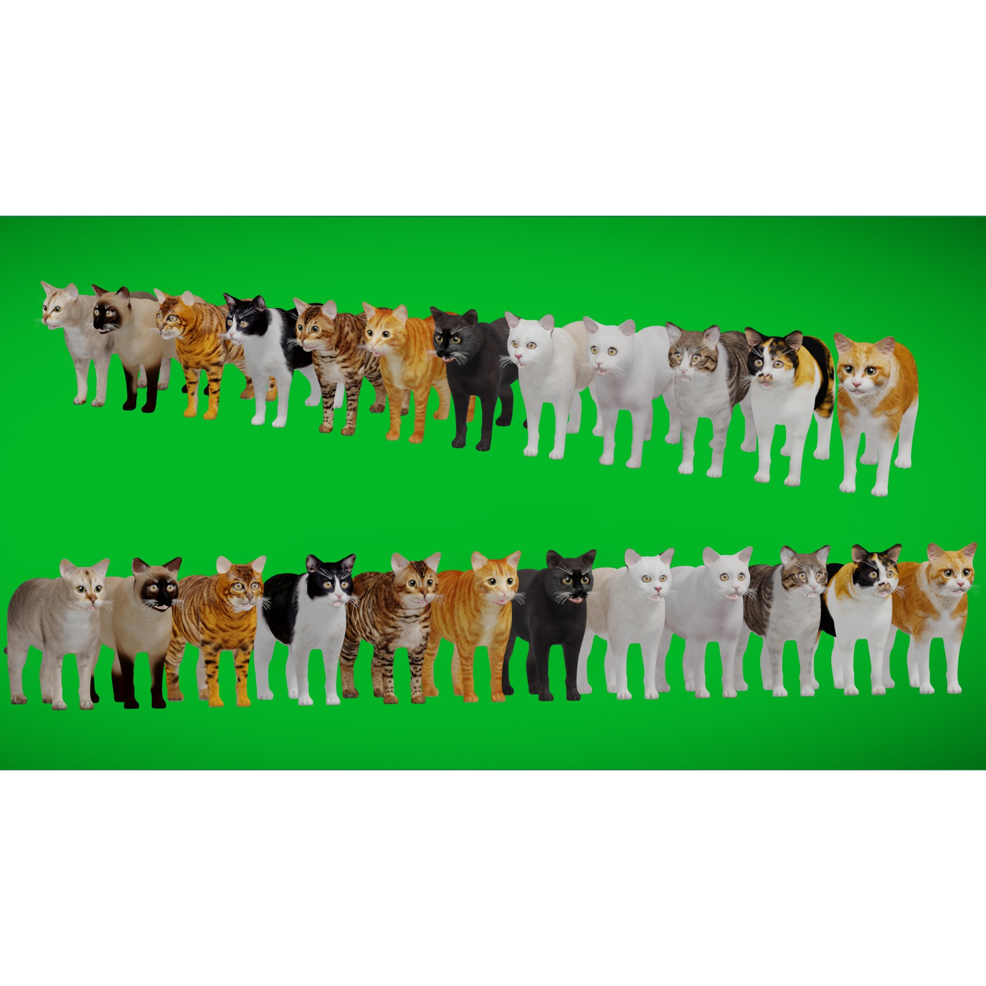 Cats 3D Model – Low Poly Game Ready with 27 Animations, FBX - View 4