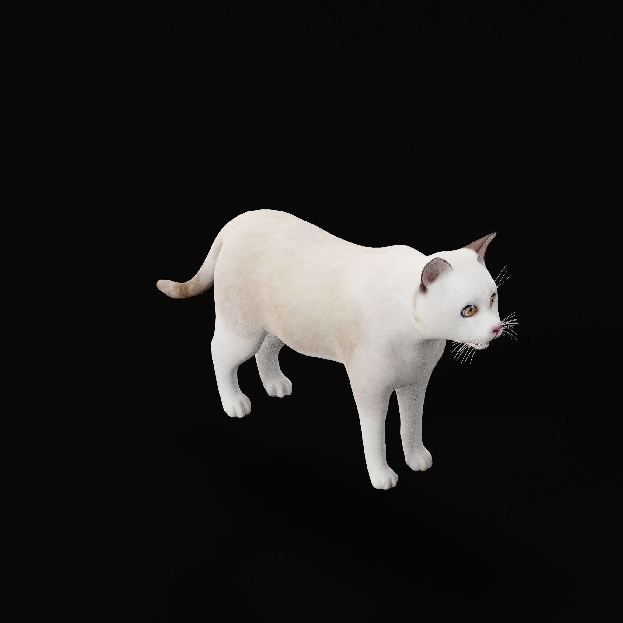 Cats 3D Model – Low Poly Game Ready with 27 Animations, FBX - View 40