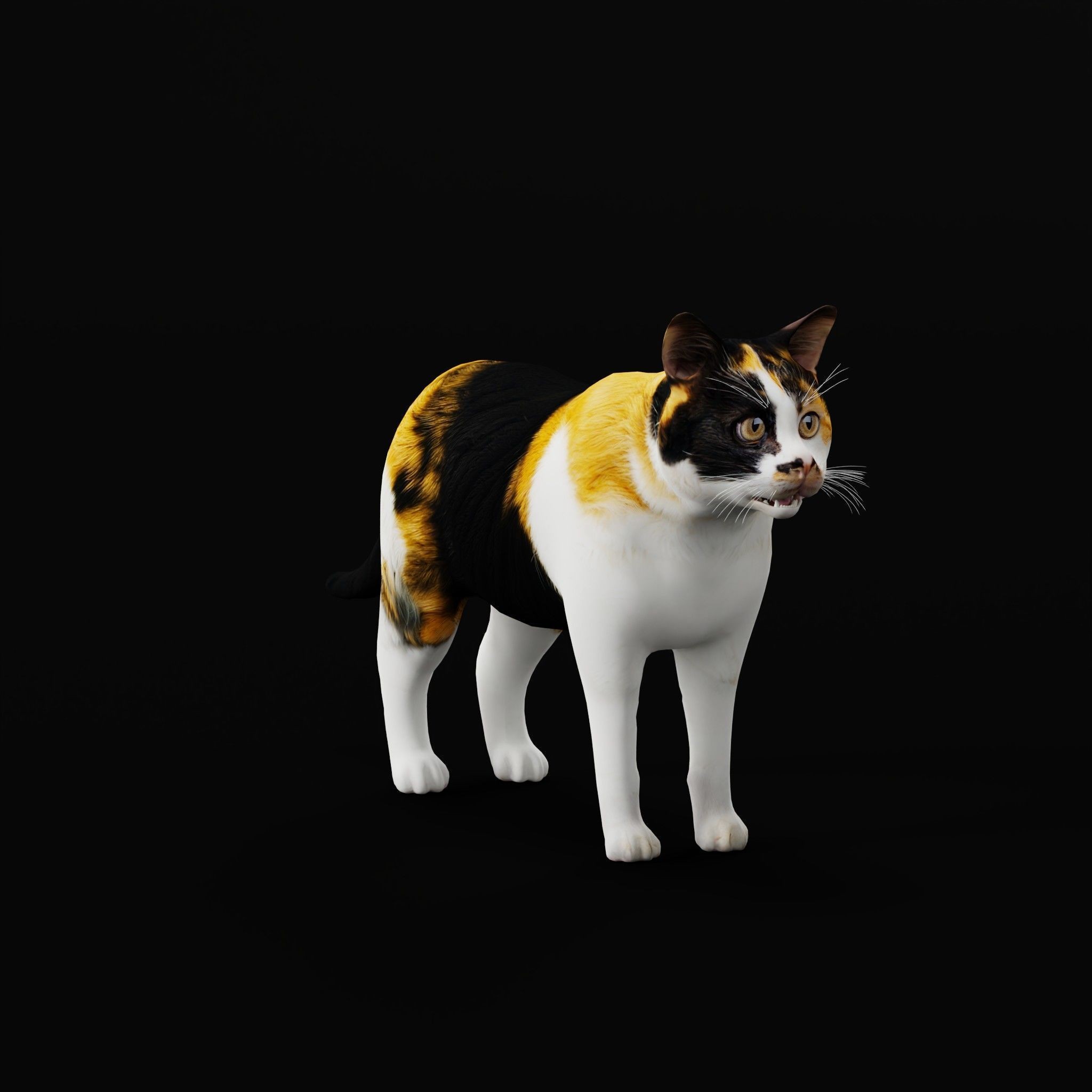 Cats 3D Model – Low Poly Game Ready with 27 Animations, FBX - View 41