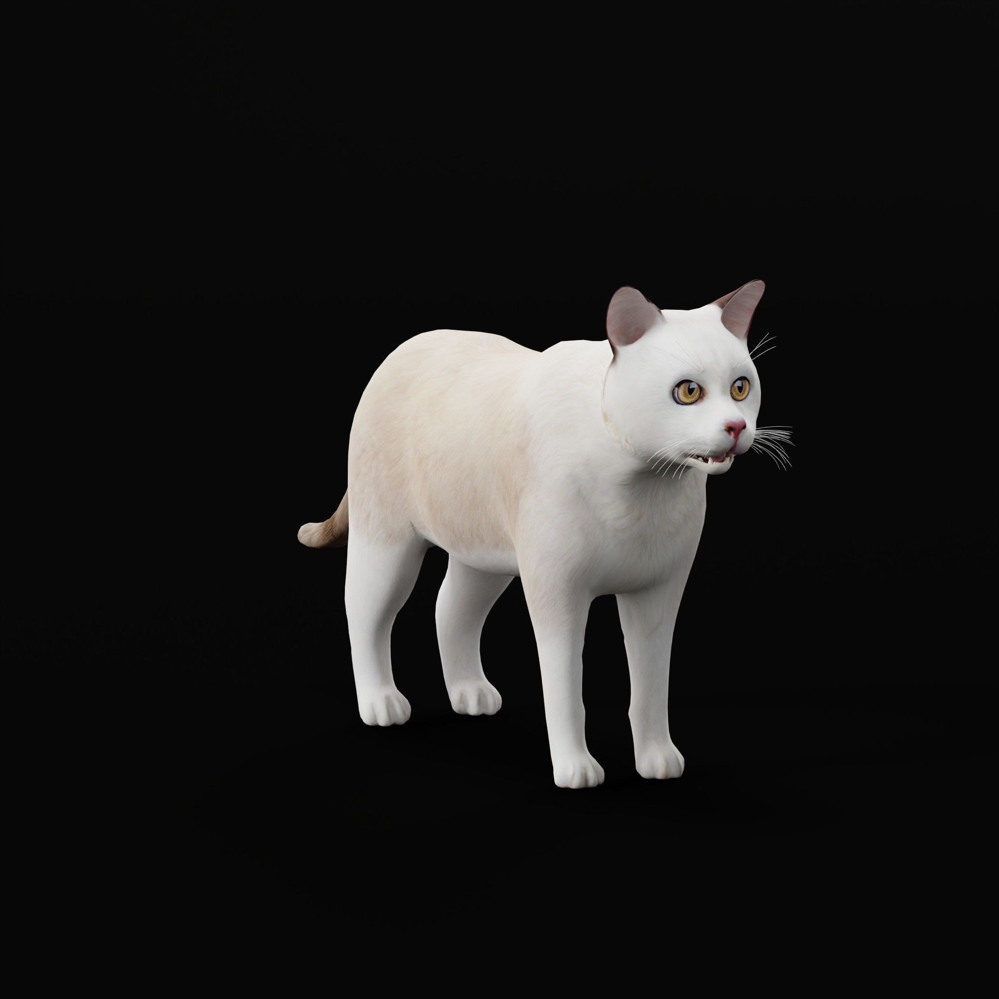 Cats 3D Model – Low Poly Game Ready with 27 Animations, FBX - View 43