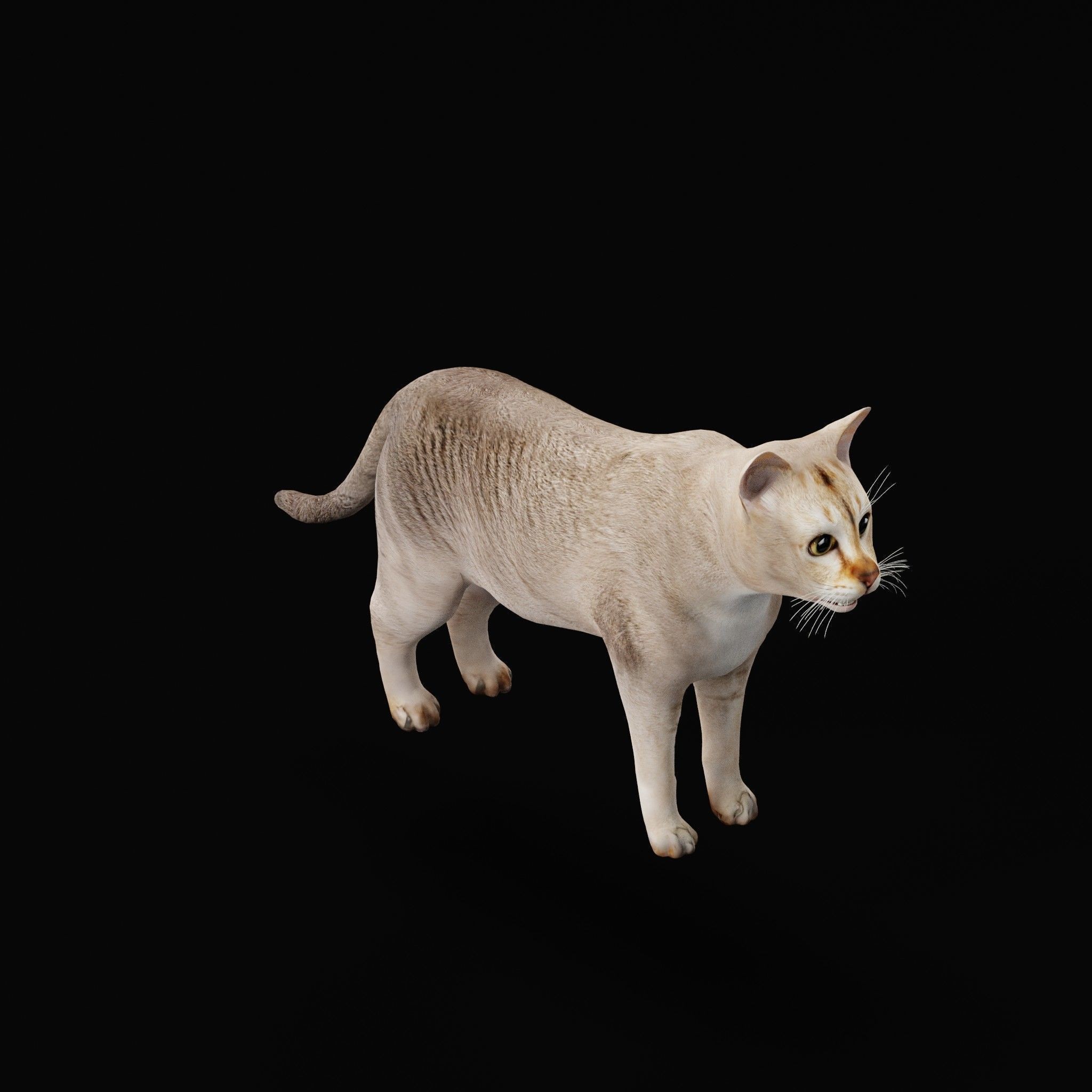 Cats 3D Model – Low Poly Game Ready with 27 Animations, FBX - View 45