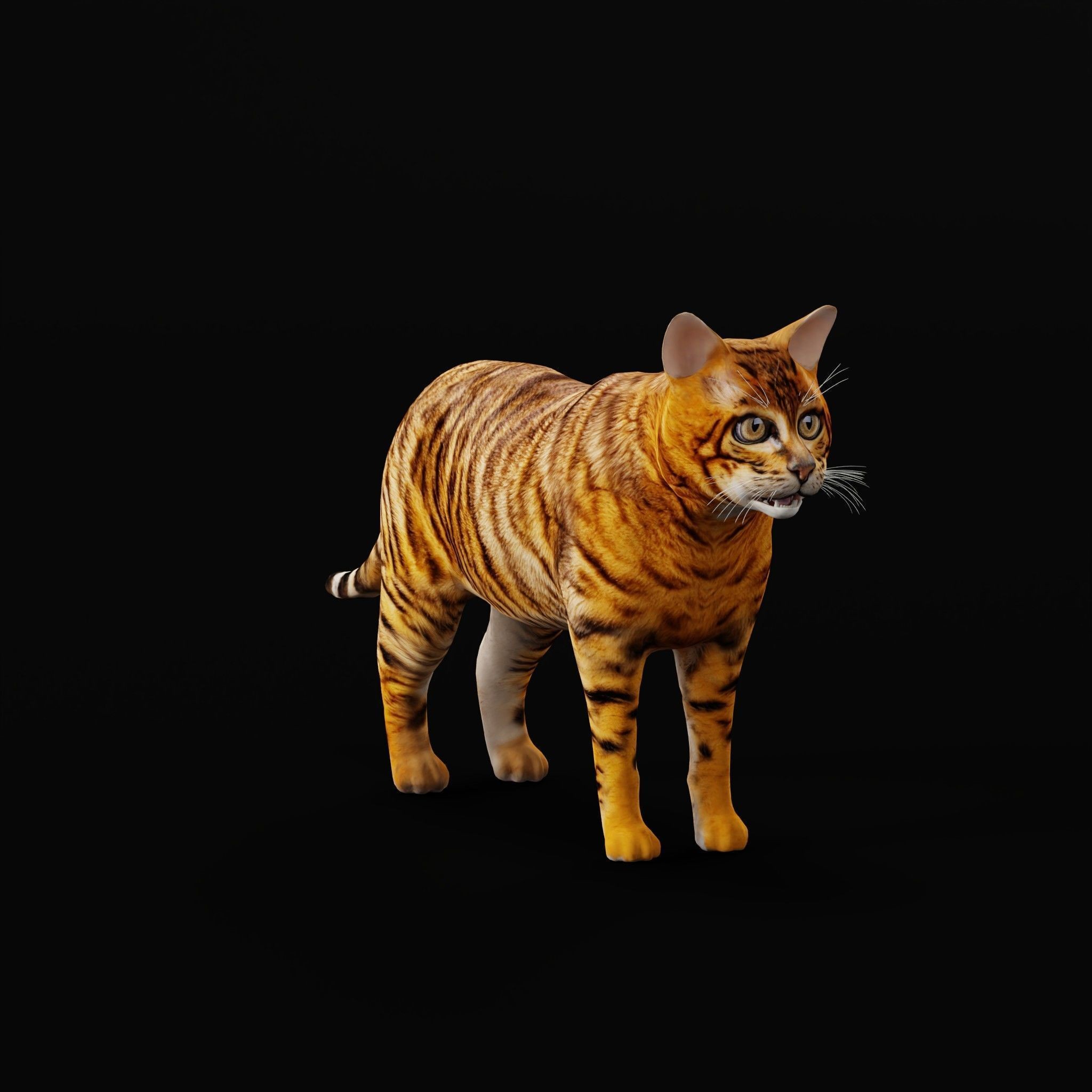 Cats 3D Model – Low Poly Game Ready with 27 Animations, FBX - View 48