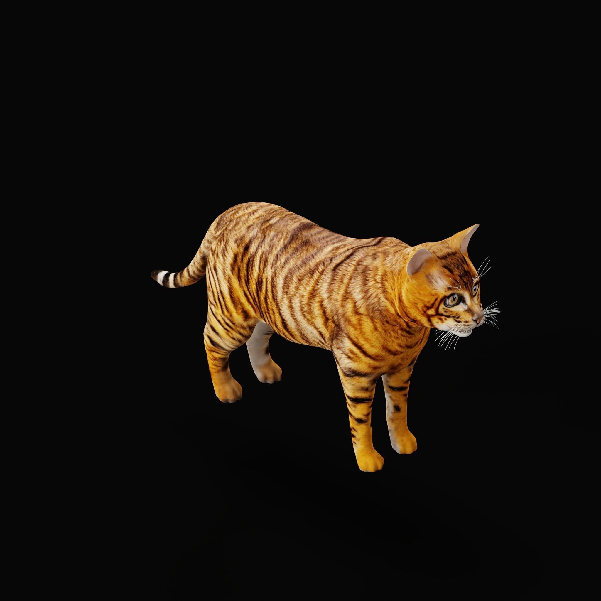 Cats 3D Model – Low Poly Game Ready with 27 Animations, FBX - View 49