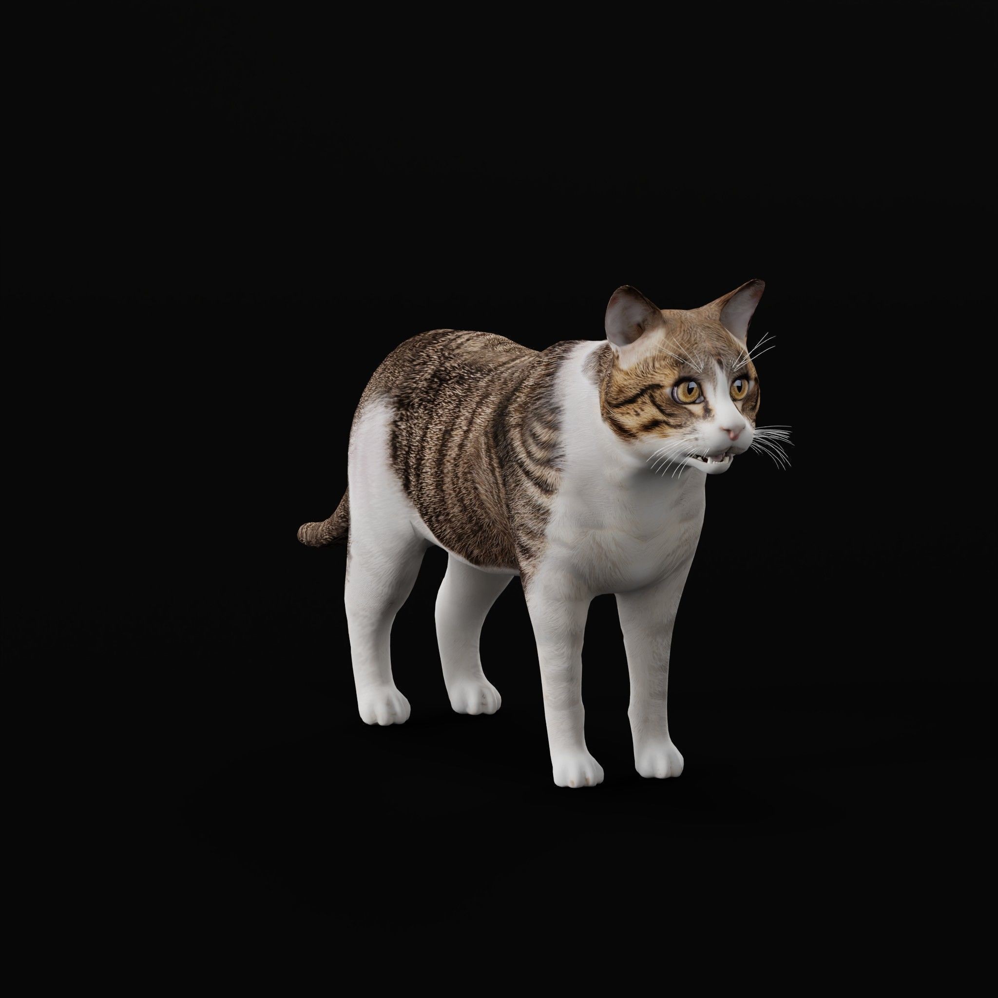 Cats 3D Model – Low Poly Game Ready with 27 Animations, FBX - View 50