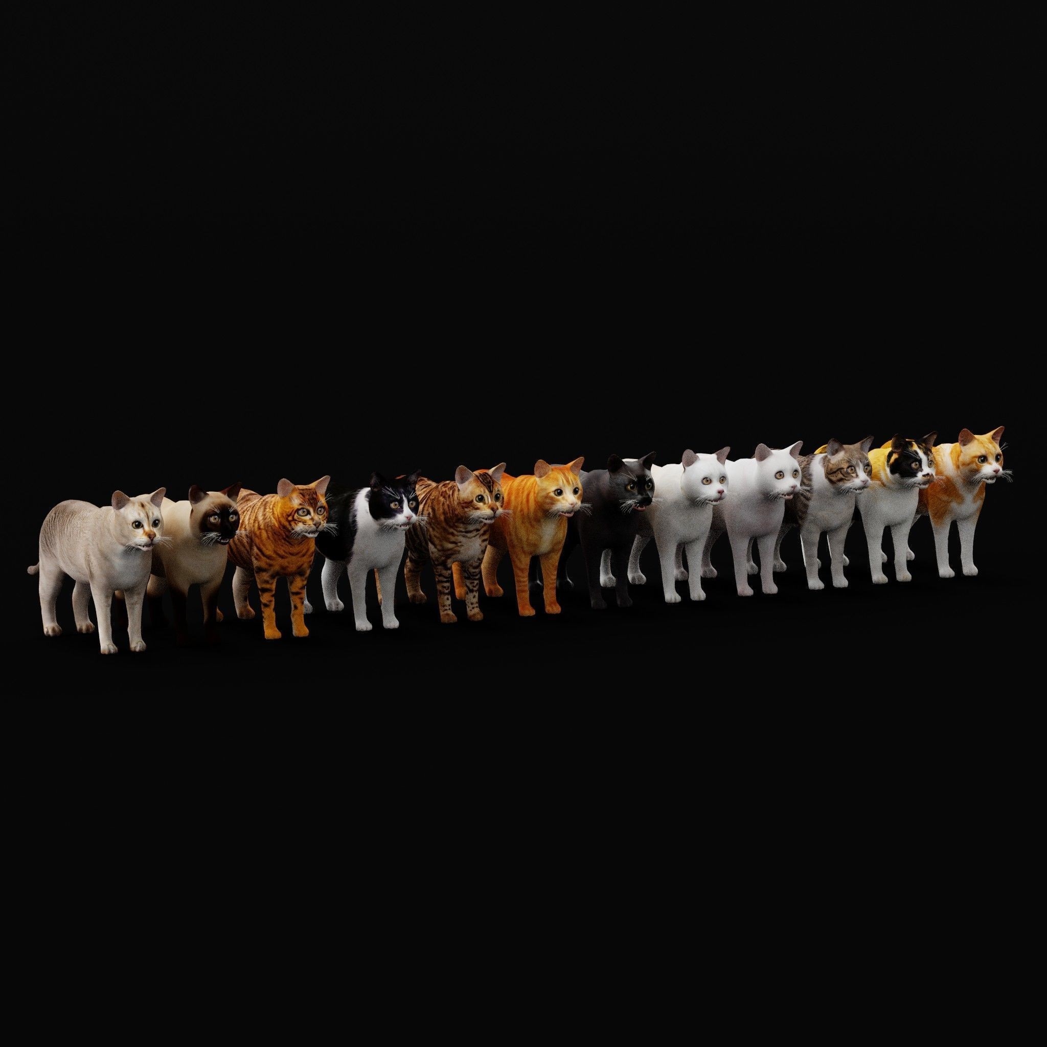 Cats 3D Model – Low Poly Game Ready with 27 Animations, FBX - View 8