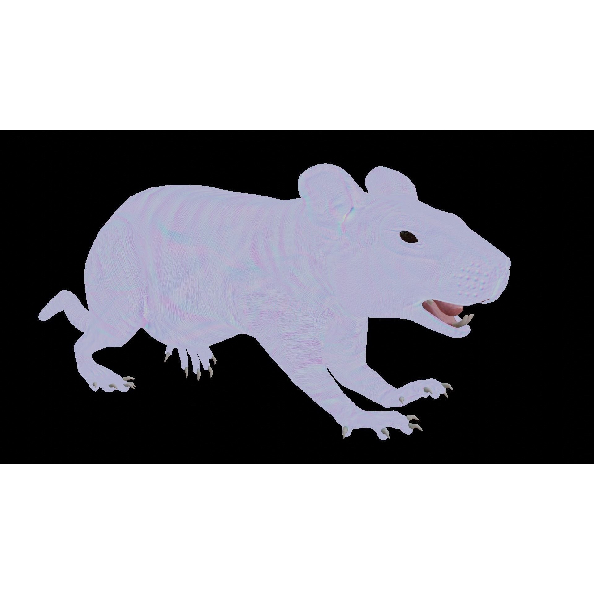 Rat 3D Model – Rigged PBR Asset for VFX and Animation - View 15