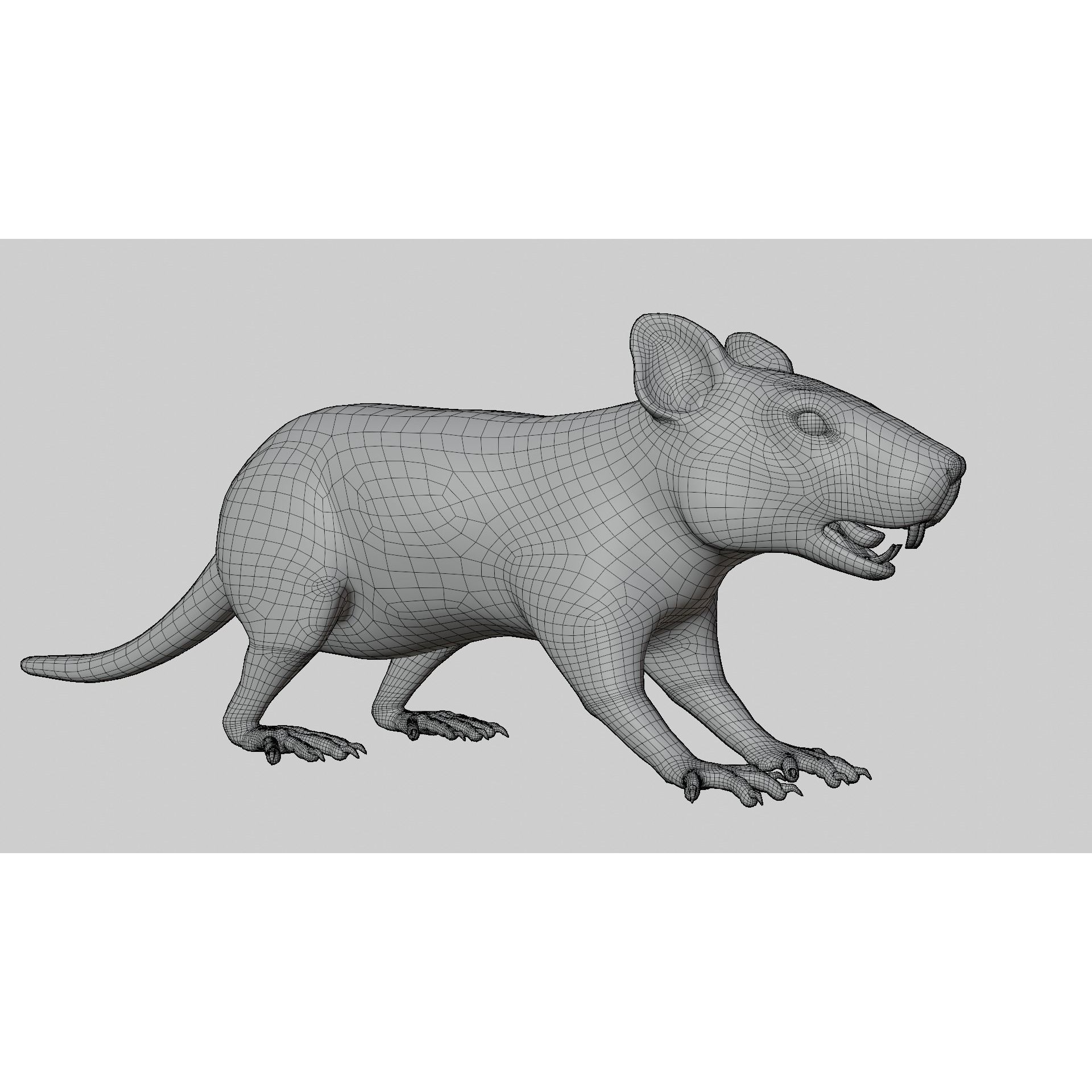 Rat 3D Model – Rigged PBR Asset for VFX and Animation - View 16