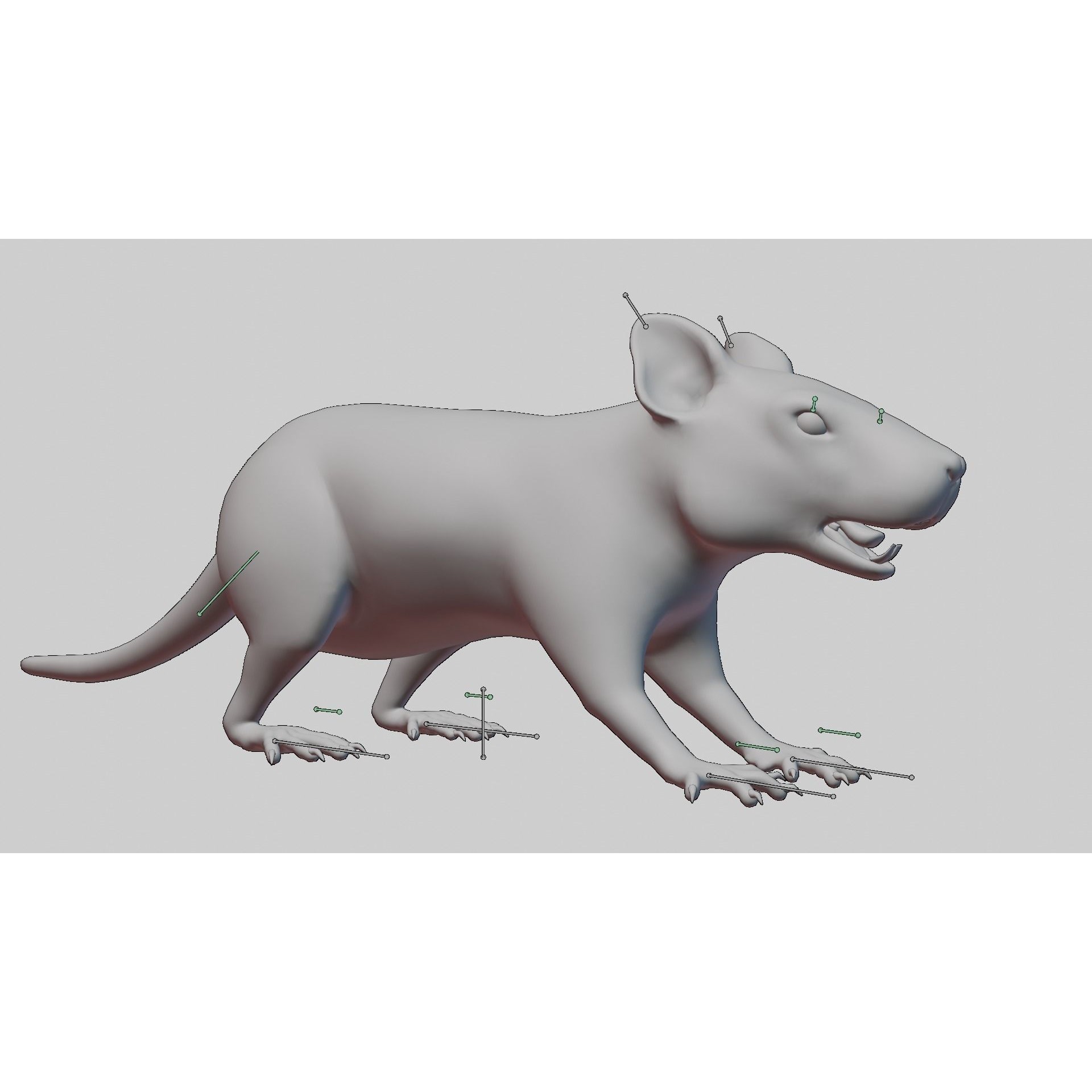 Rat 3D Model – Rigged PBR Asset for VFX and Animation - View 18