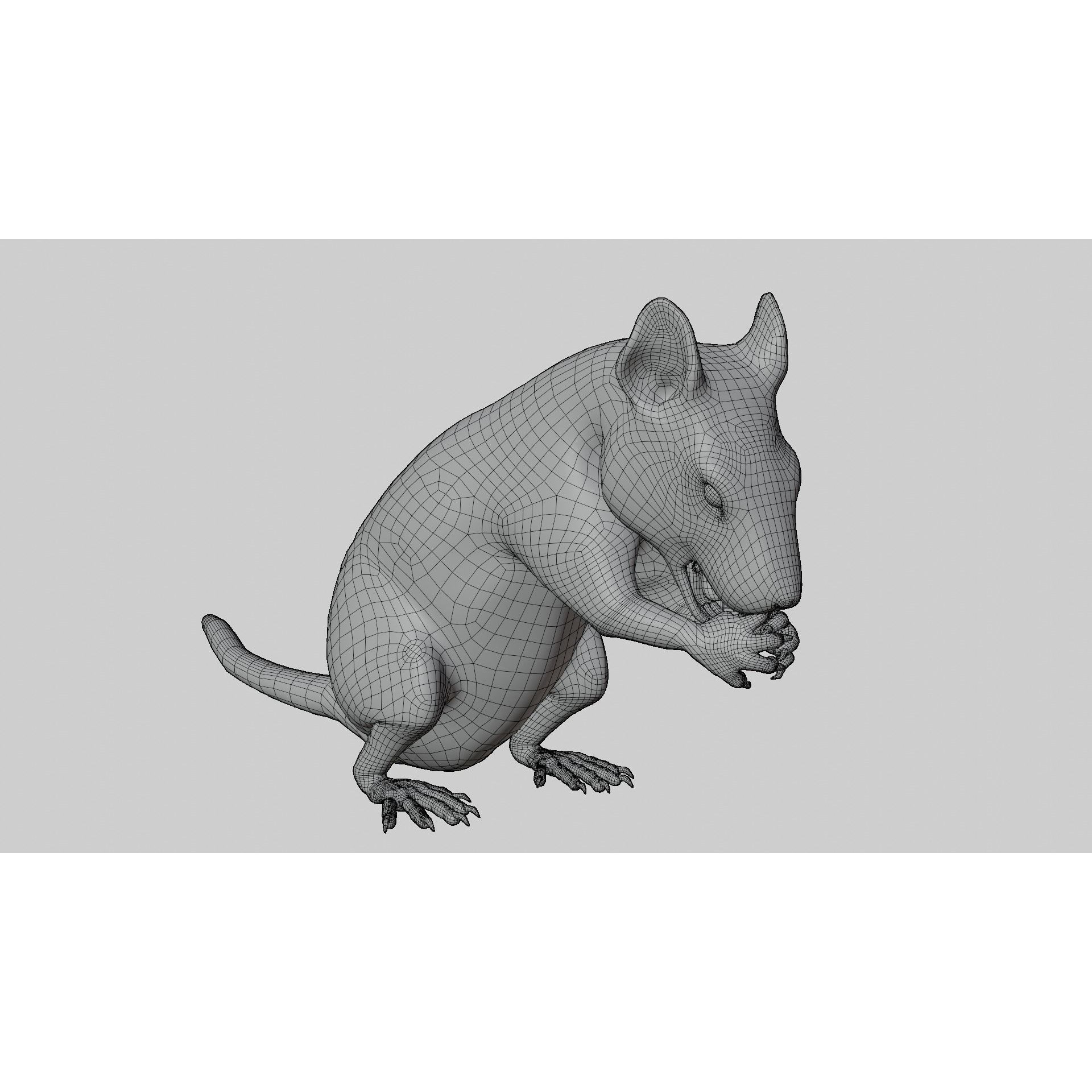 Rat 3D Model – Rigged PBR Asset for VFX and Animation - View 19