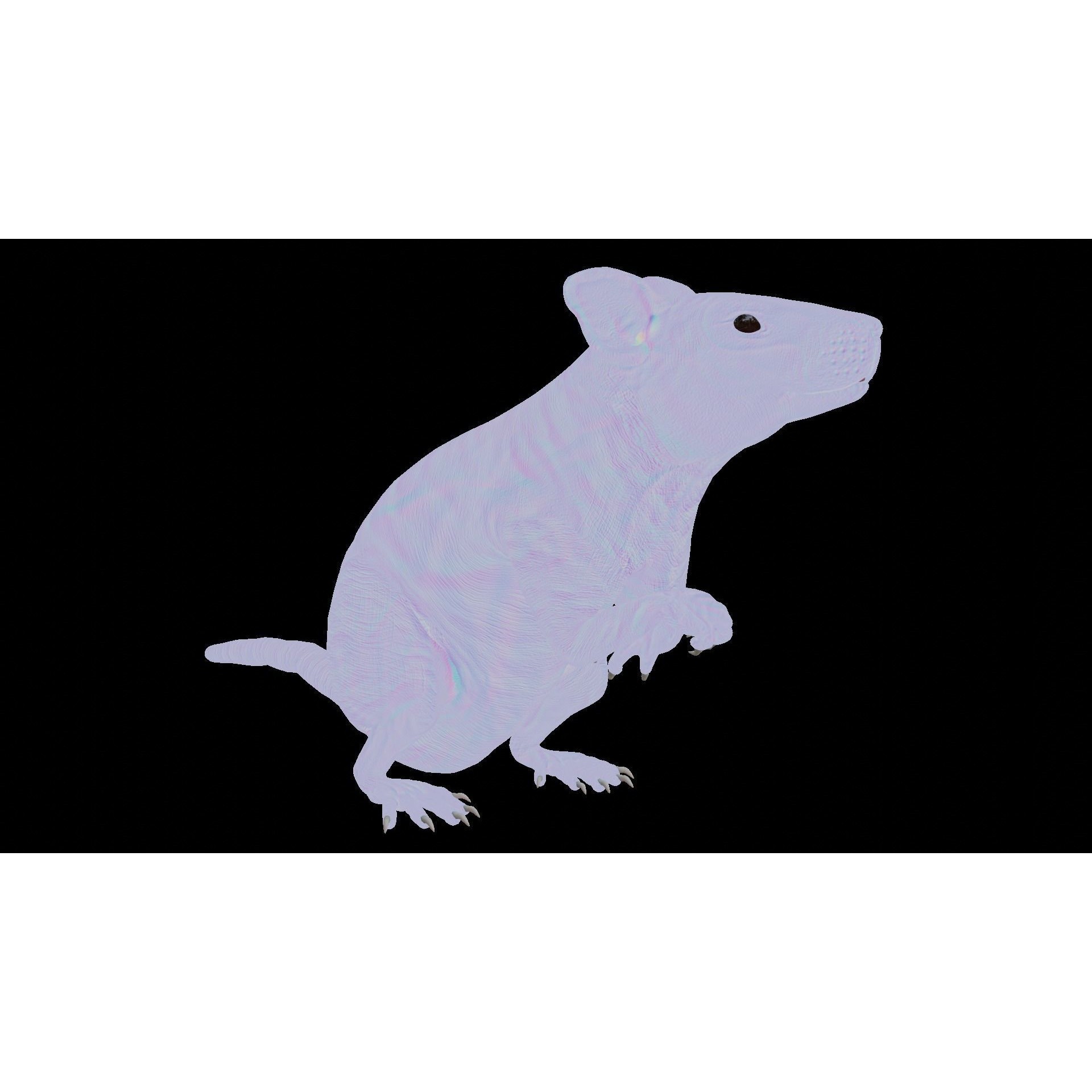 Rat 3D Model – Rigged PBR Asset for VFX and Animation - View 8