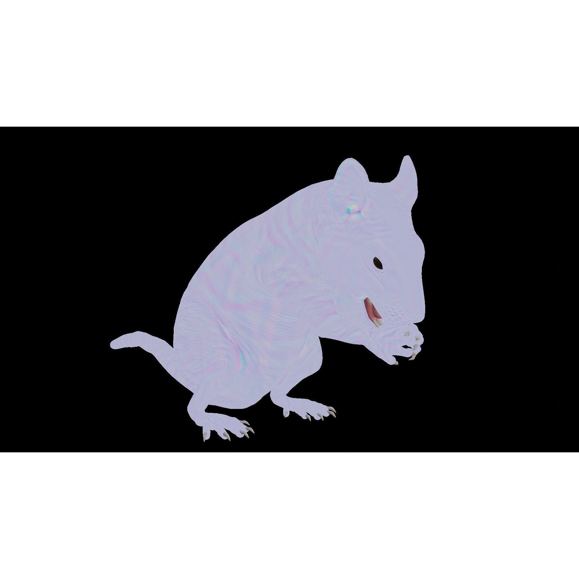 Rat 3D Model – Rigged PBR Asset for VFX and Animation - View 9