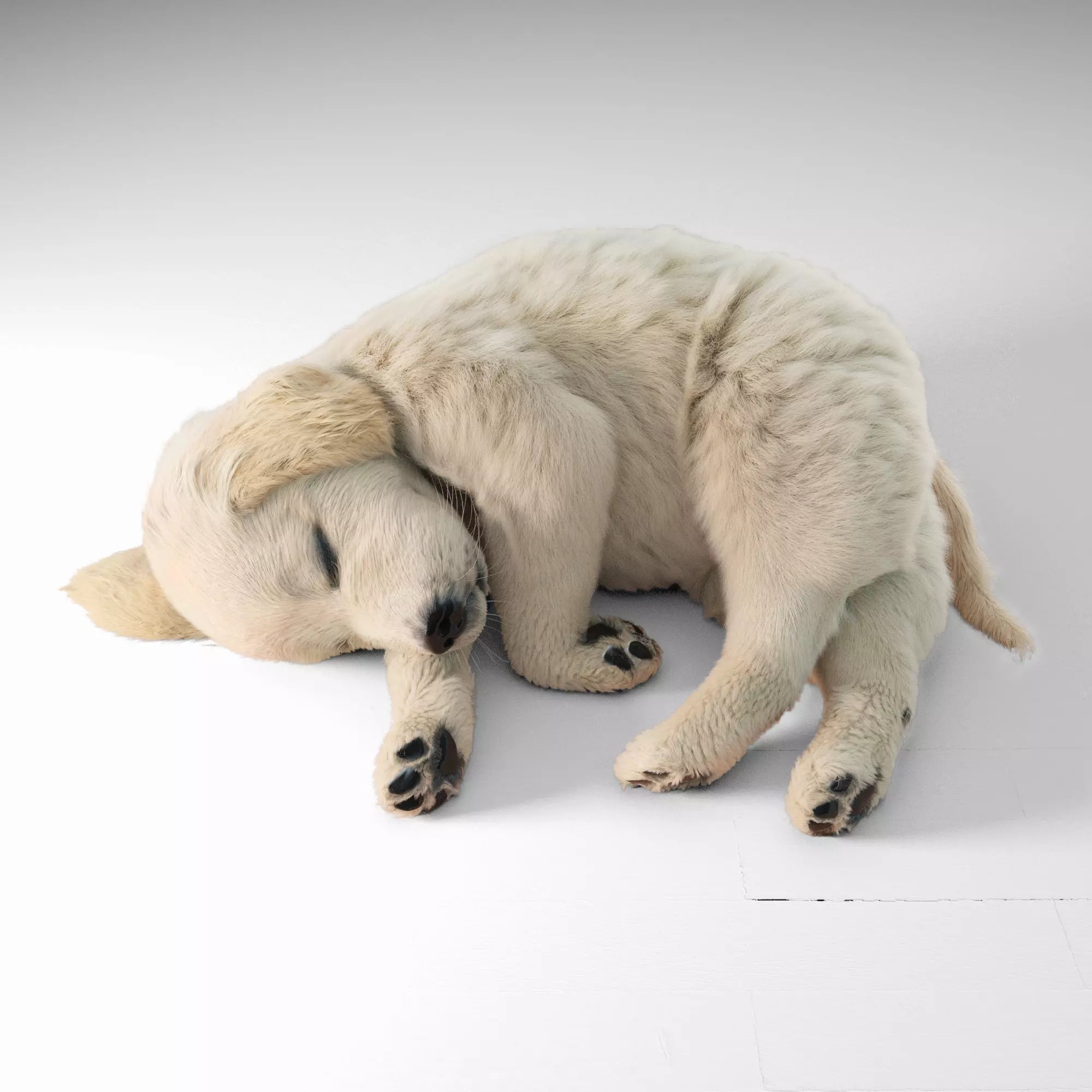 Golden Retriever Puppy 3D Model – High Poly PBR Game Asset, FBX & OBJ - View 2