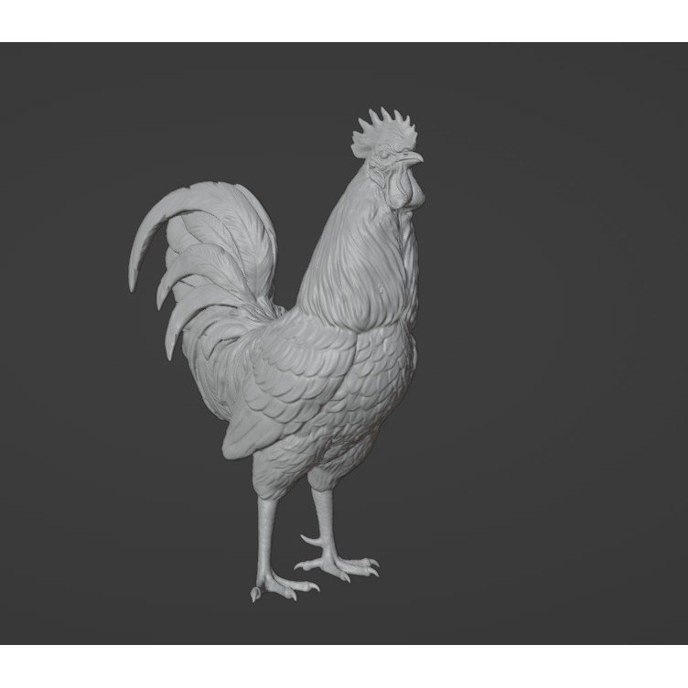 Rooster 3D Model – High Poly Game Asset with Detailed Feathers