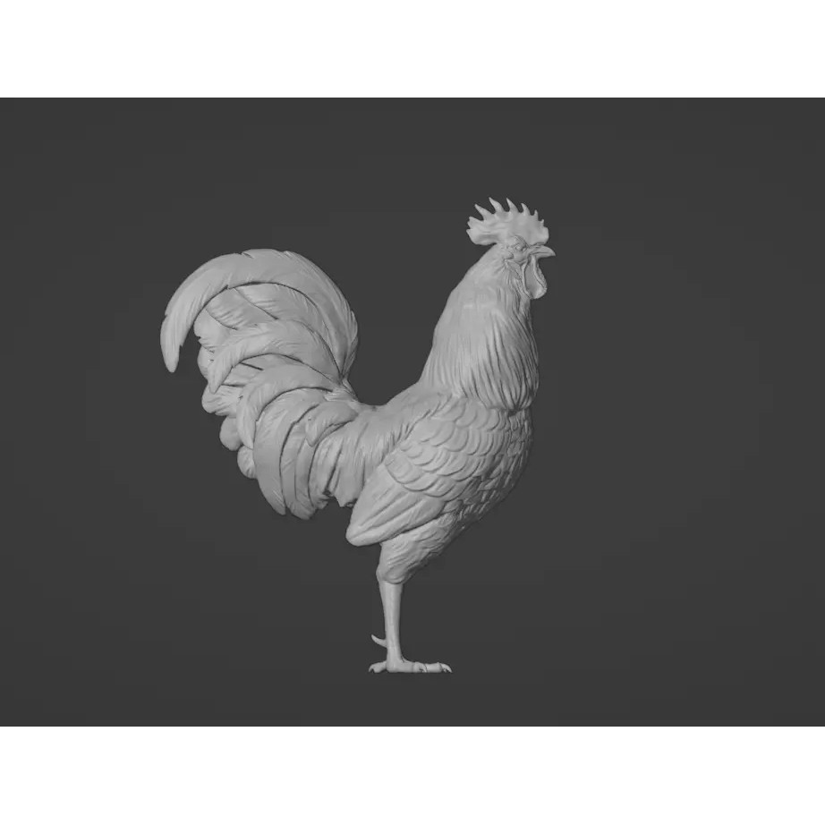 Rooster 3D Model – High Poly Game Asset with Detailed Feathers - View 2
