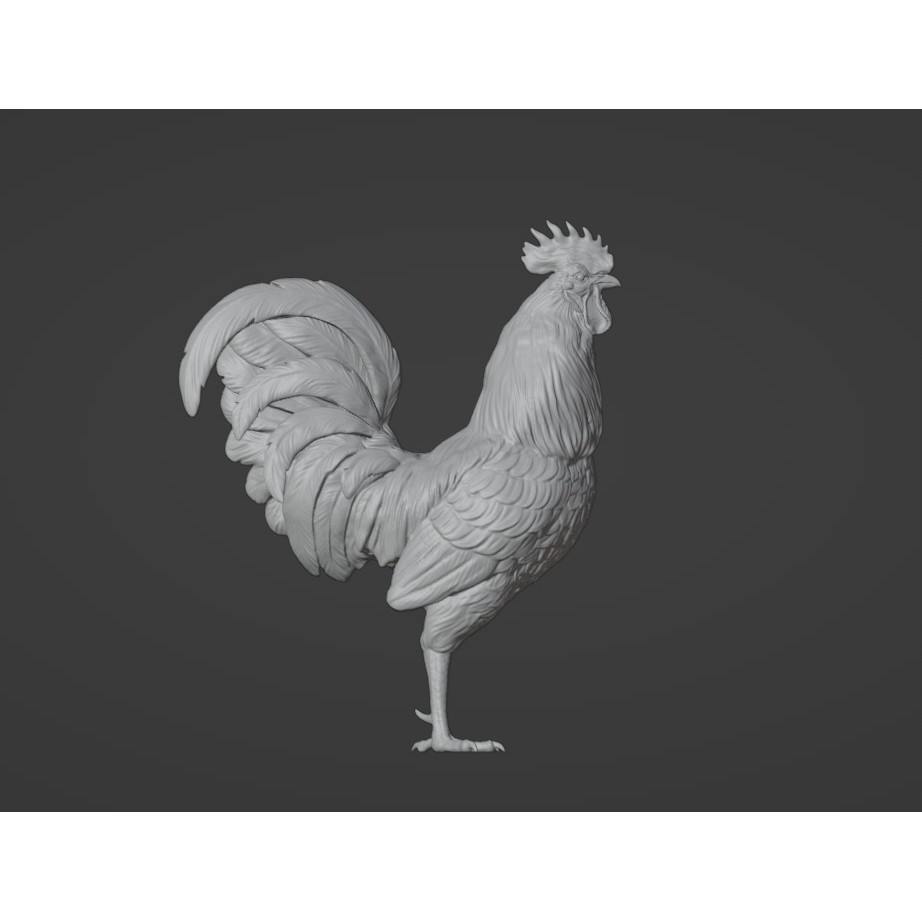 Rooster 3D Model – High Poly Game Asset with Detailed Feathers - View 4