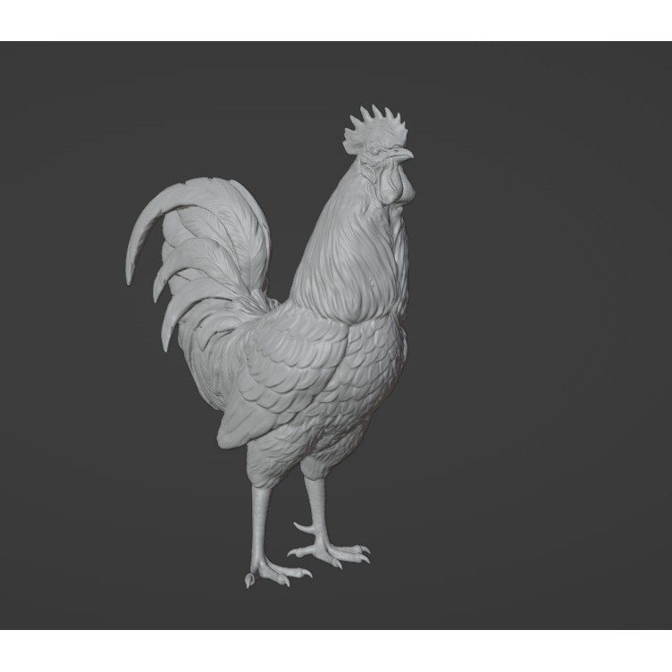 Rooster 3D Model – High Poly Game Asset with Detailed Feathers - View 5
