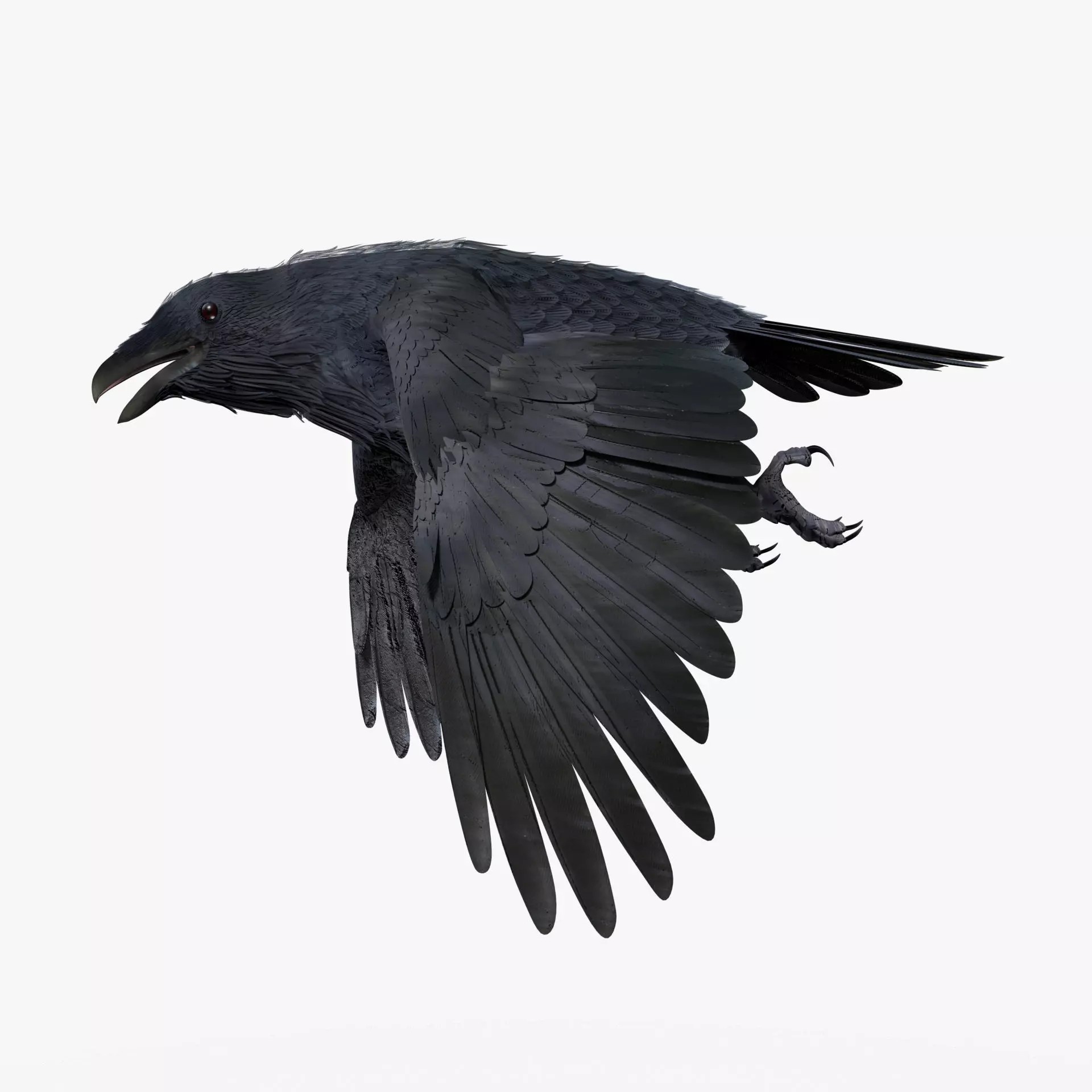 Crow 3D Model – Low Poly Rigged and Animated for Blender and 3DS Max - View 2