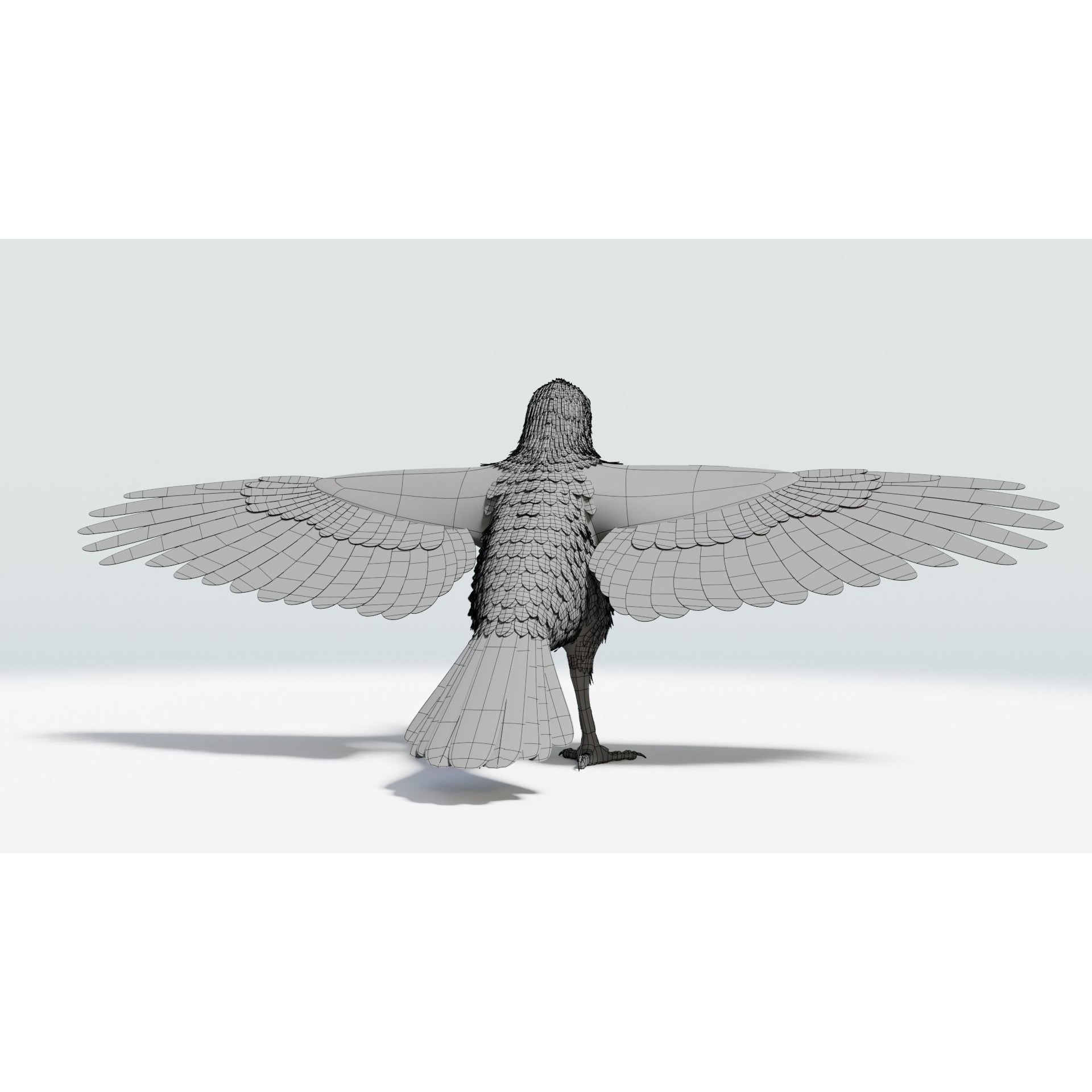 Crow 3D Model – Low Poly Rigged and Animated for Blender and 3DS Max - View 21