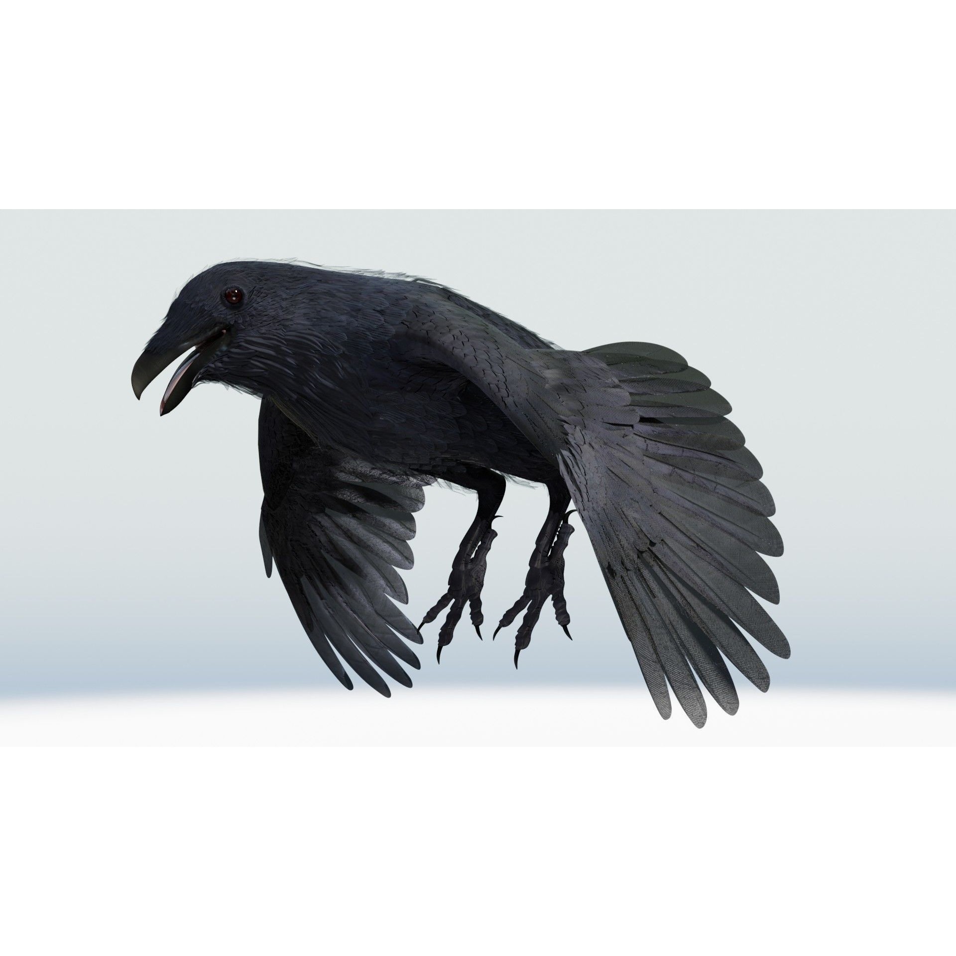 Crow 3D Model – Low Poly Rigged and Animated for Blender and 3DS Max - View 27