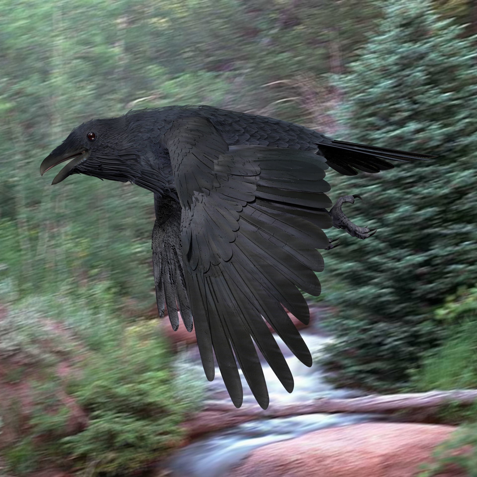 Crow 3D Model – Low Poly Rigged and Animated for Blender and 3DS Max - View 3