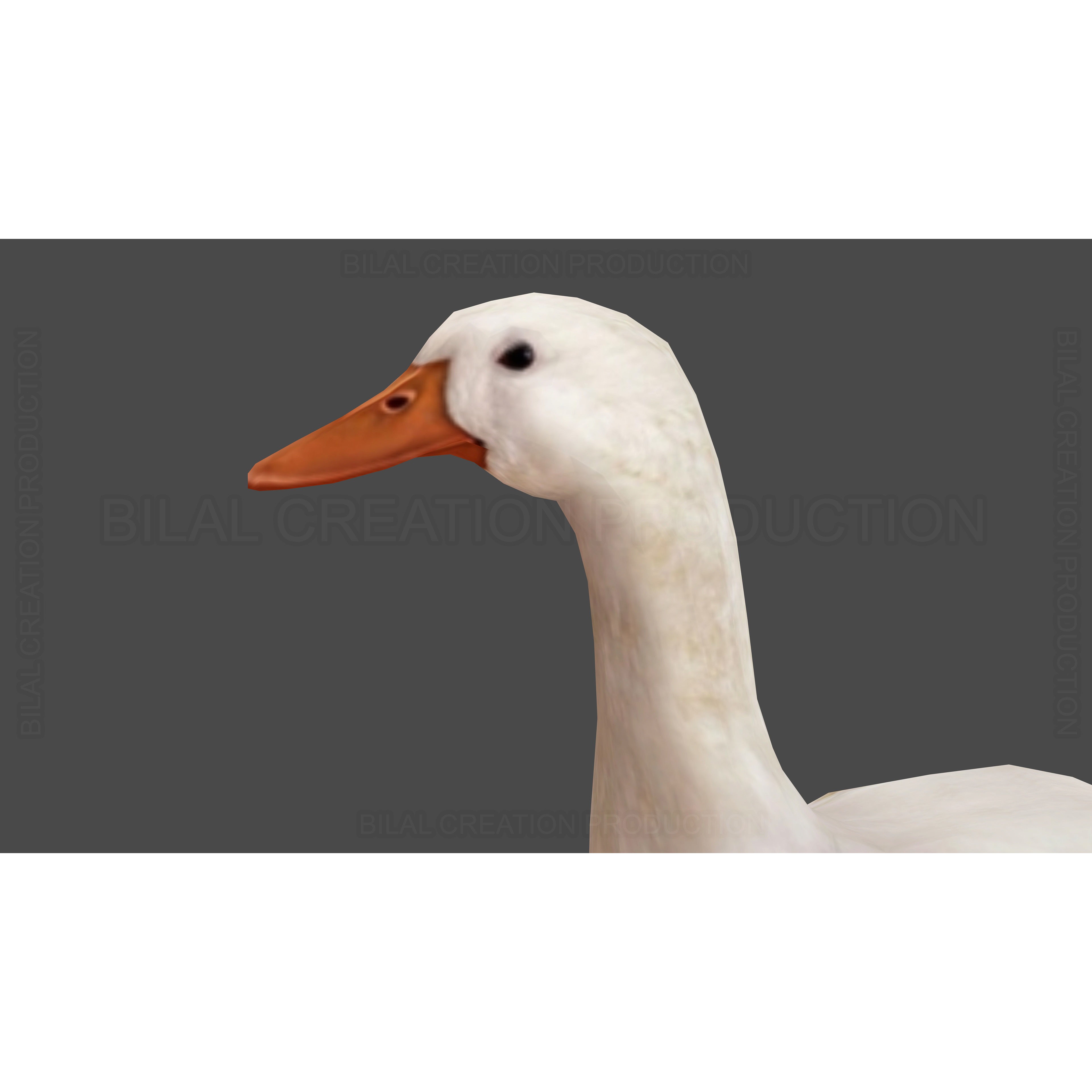 Duck 3D Model – Low Poly Rigged Animated Asset for Games - View 13