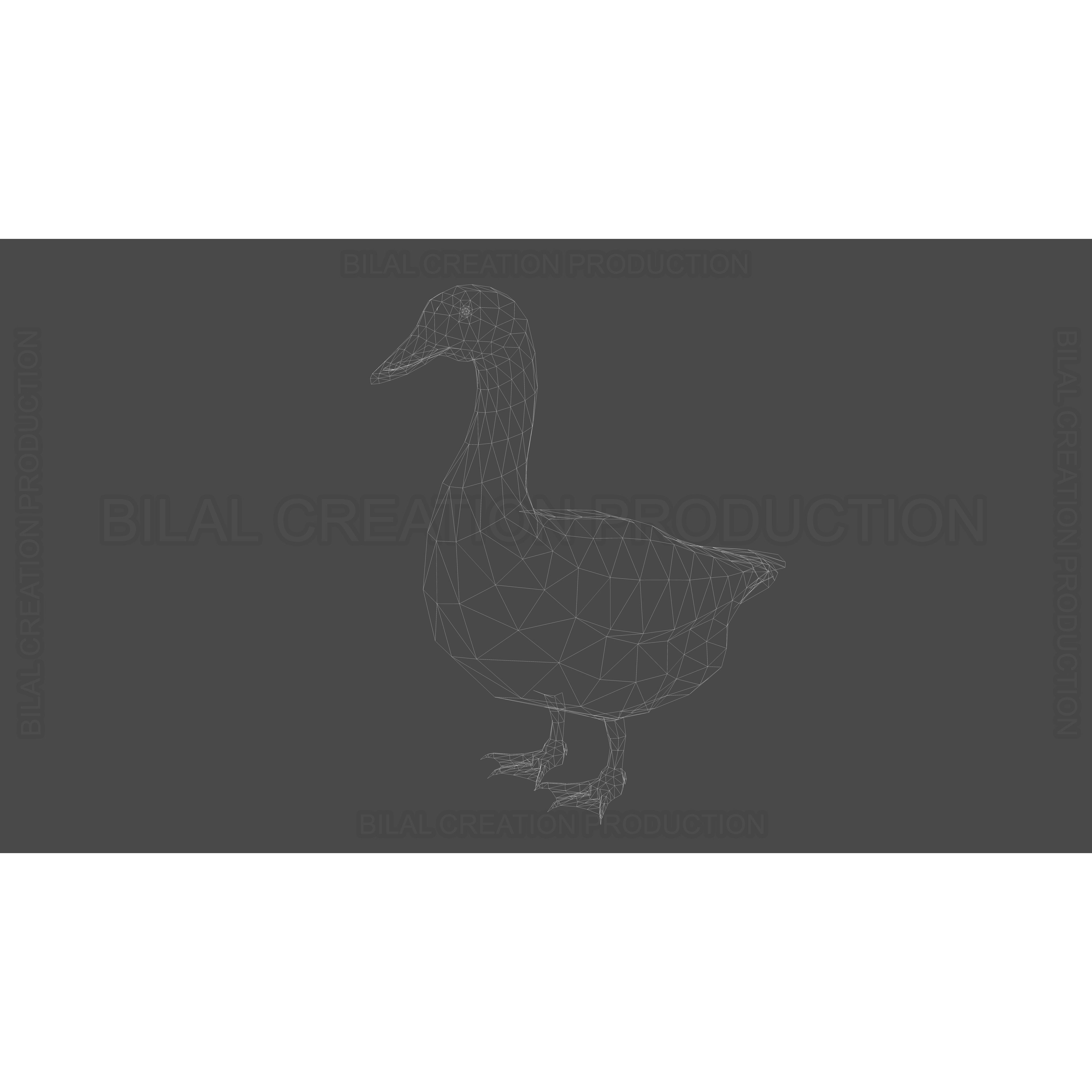 Duck 3D Model – Low Poly Rigged Animated Asset for Games - View 21