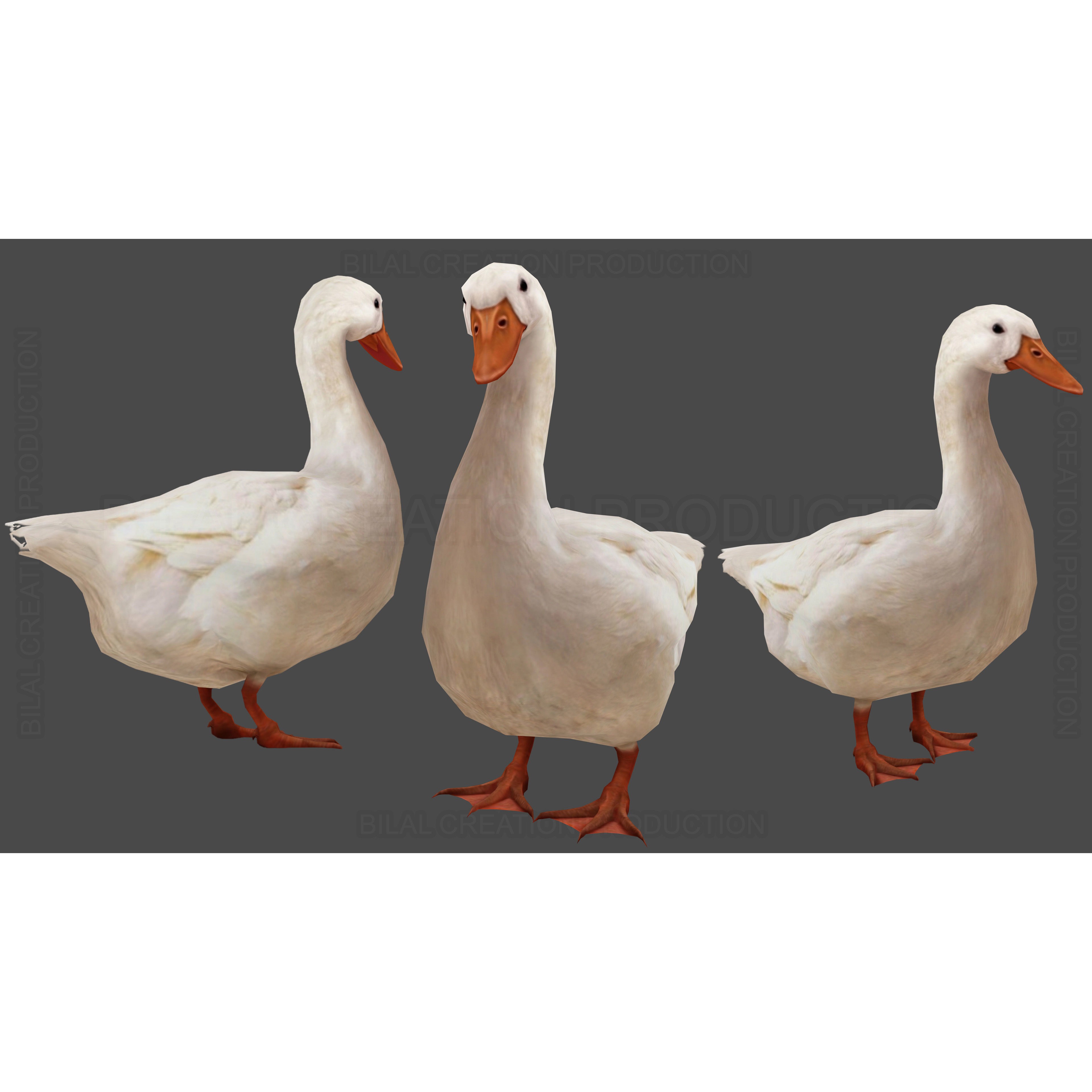 Duck 3D Model – Low Poly Rigged Animated Asset for Games - View 3