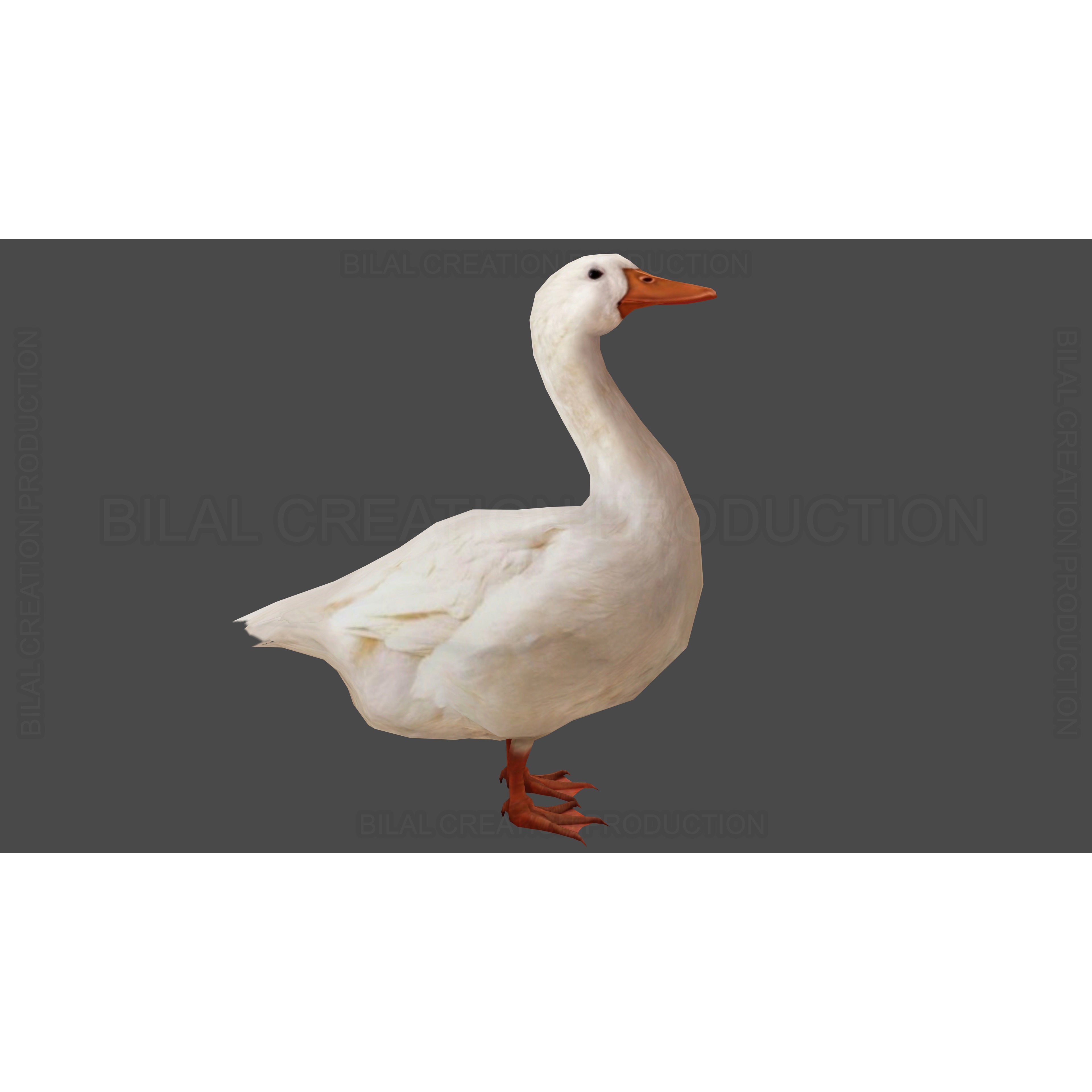 Duck 3D Model – Low Poly Rigged Animated Asset for Games - View 5