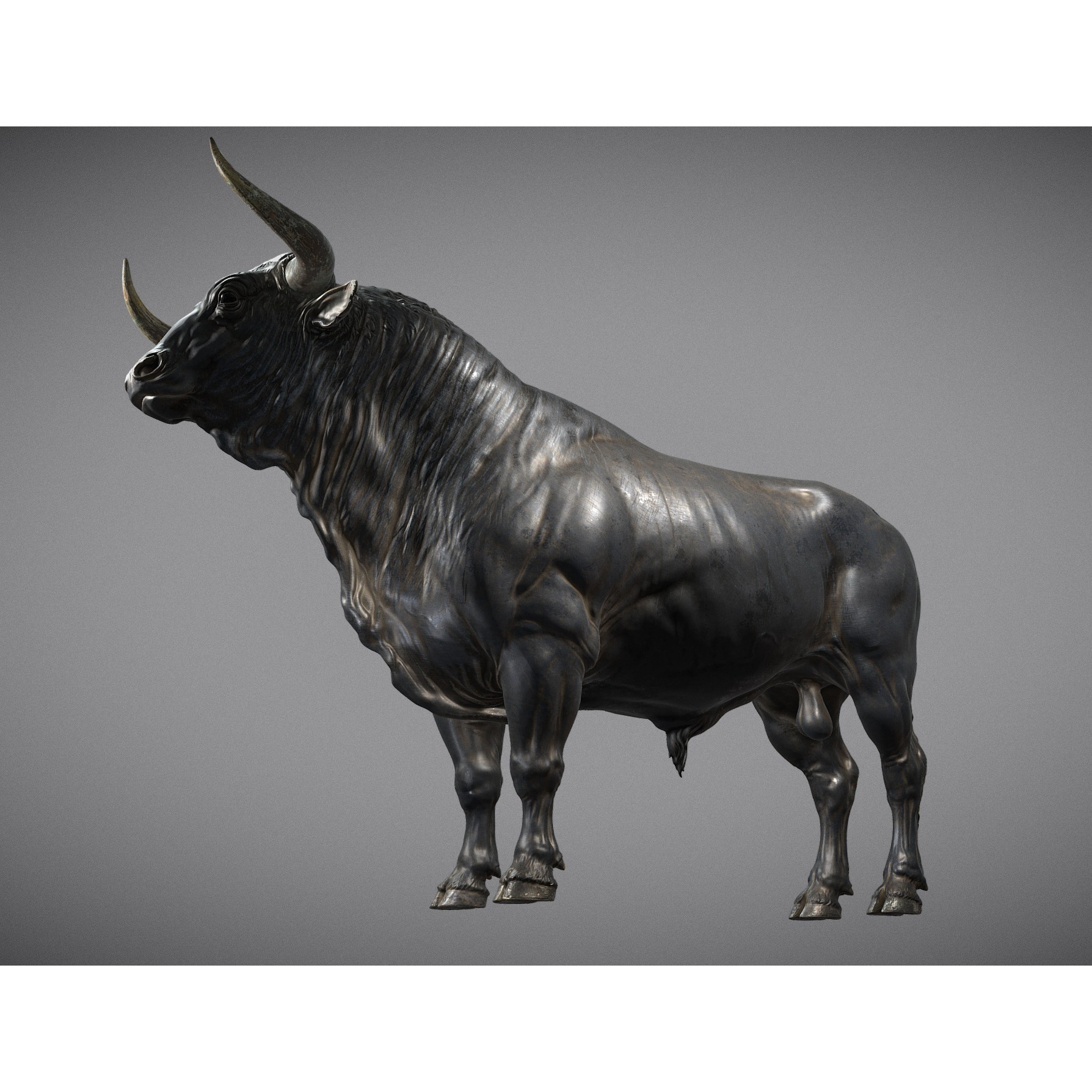 Bull 3D Model – High Poly T-Pose with PBR Textures, FBX & OBJ - View 11