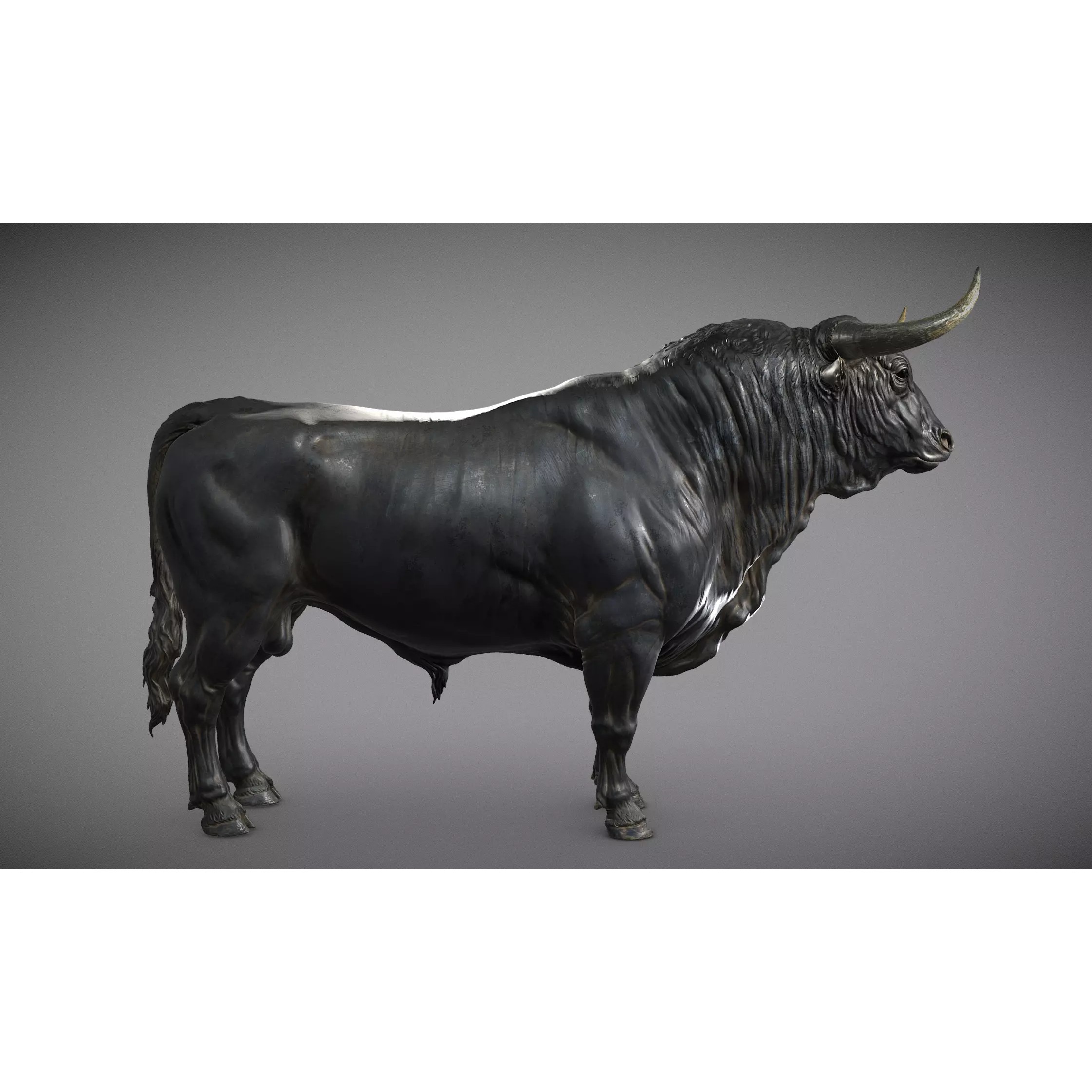 Bull 3D Model – High Poly T-Pose with PBR Textures, FBX & OBJ - View 2