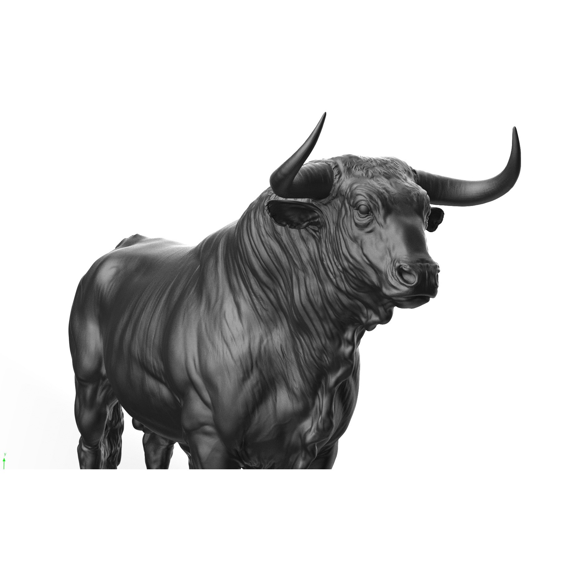 Bull 3D Model – High Poly T-Pose with PBR Textures, FBX & OBJ - View 3