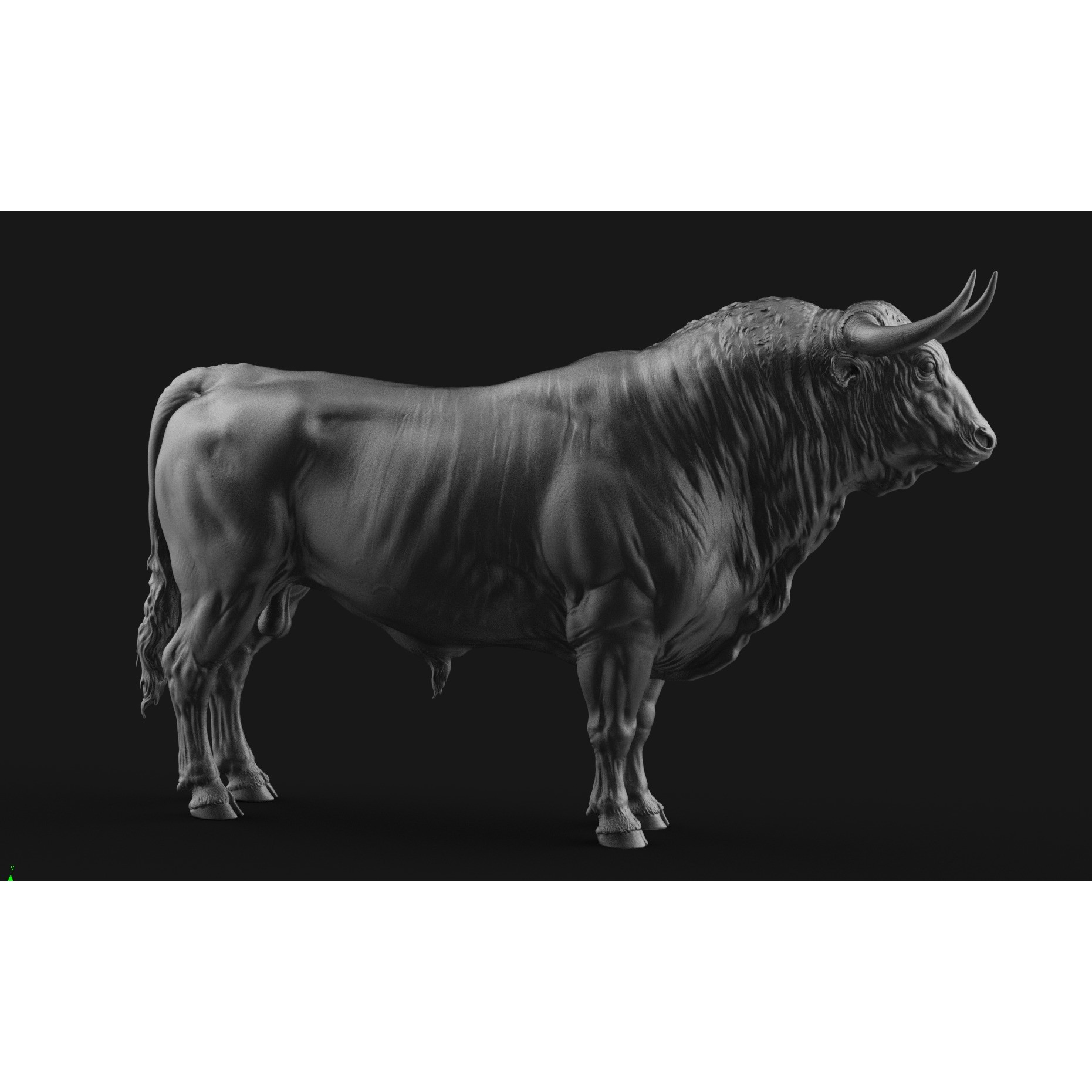 Bull 3D Model – High Poly T-Pose with PBR Textures, FBX & OBJ - View 4