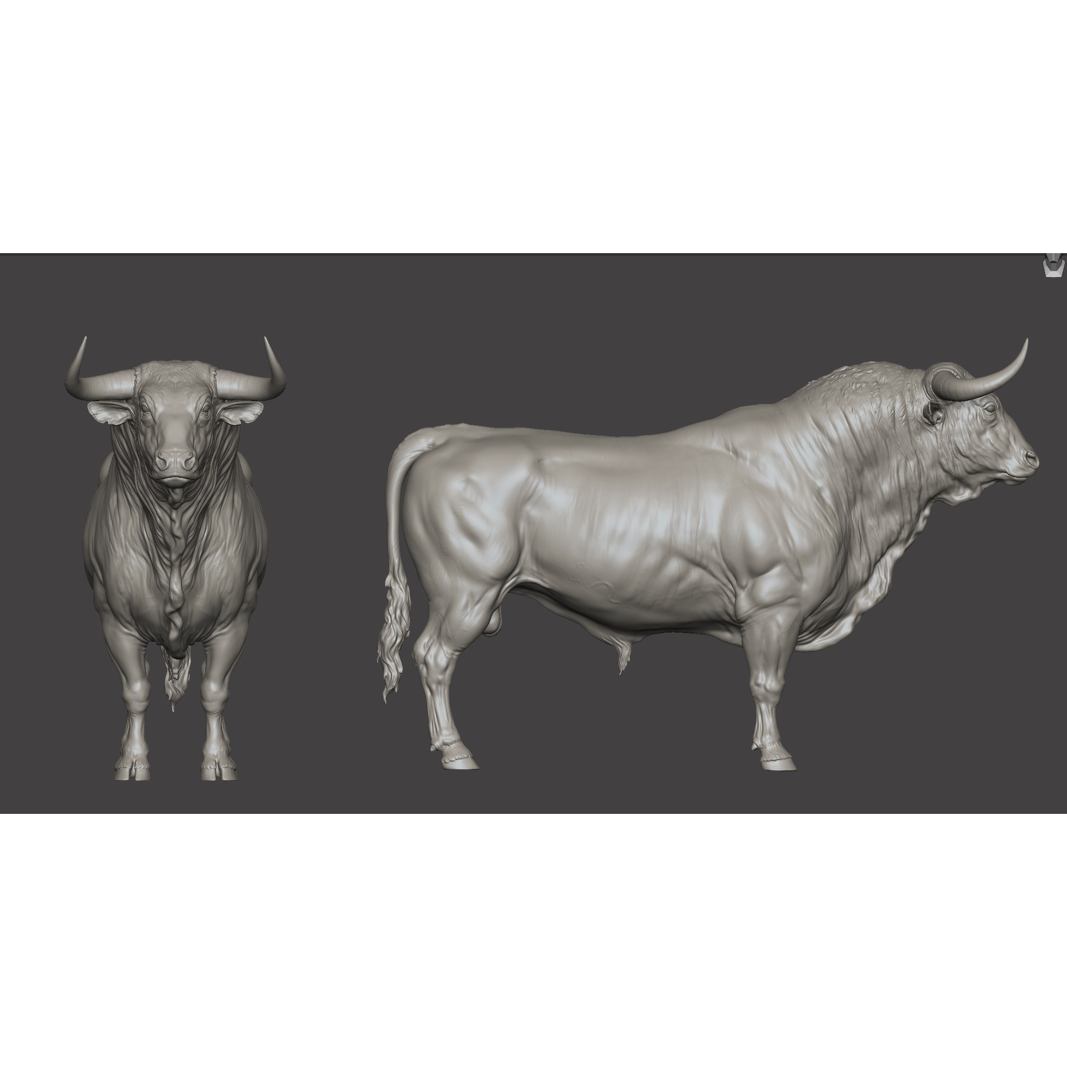 Bull 3D Model – High Poly T-Pose with PBR Textures, FBX & OBJ - View 5