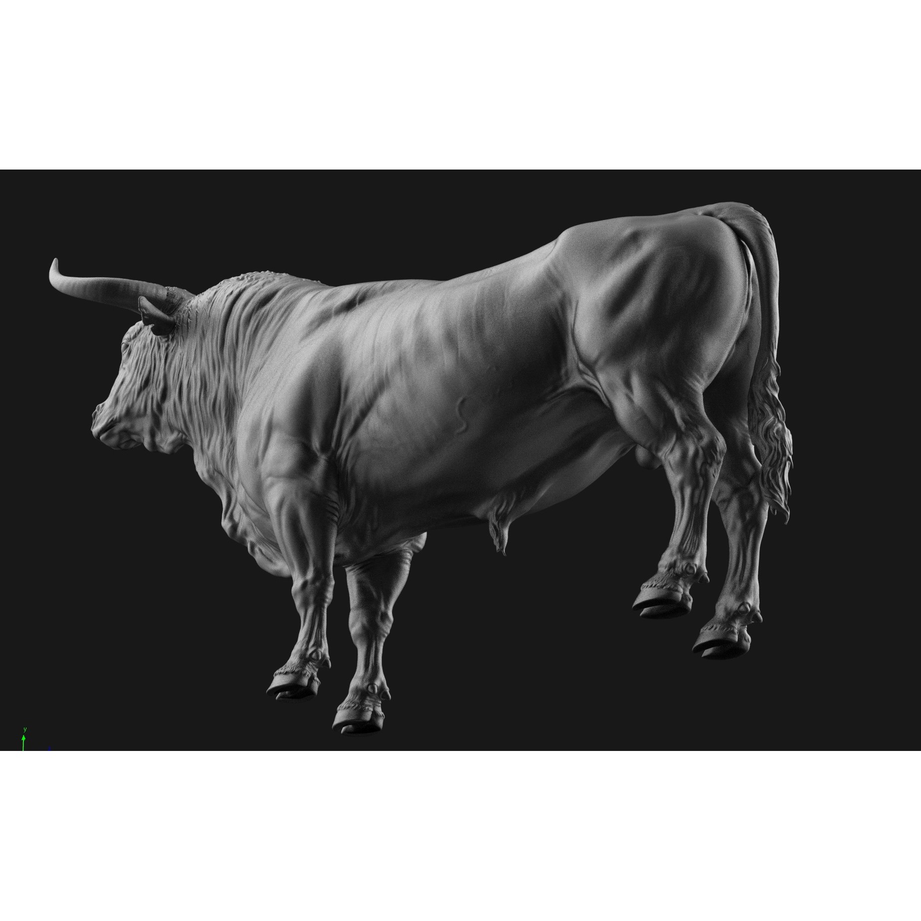Bull 3D Model – High Poly T-Pose with PBR Textures, FBX & OBJ - View 7