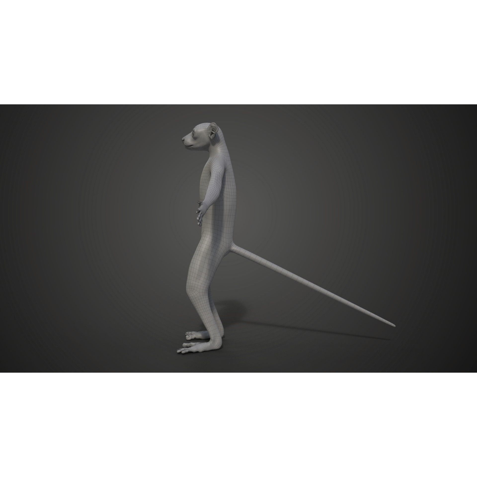 Baby White Sifaka 3D Model – Rigged, High Poly, Blender