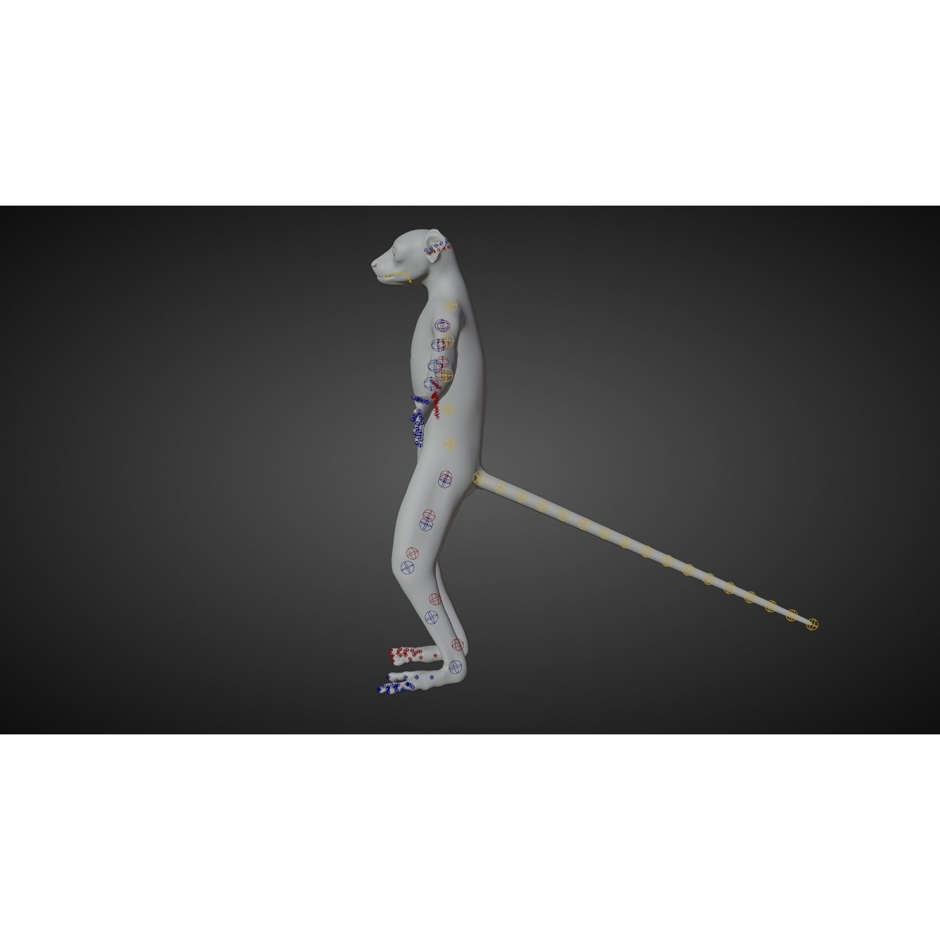 Baby White Sifaka 3D Model – Rigged, High Poly, Blender - View 13