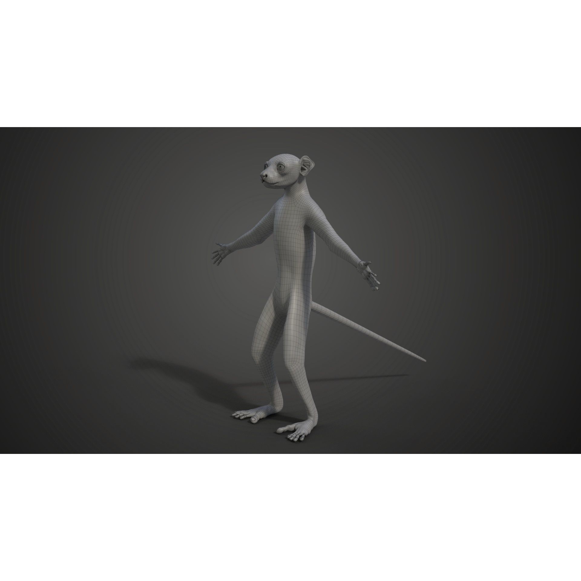 Baby White Sifaka 3D Model – Rigged, High Poly, Blender - View 19