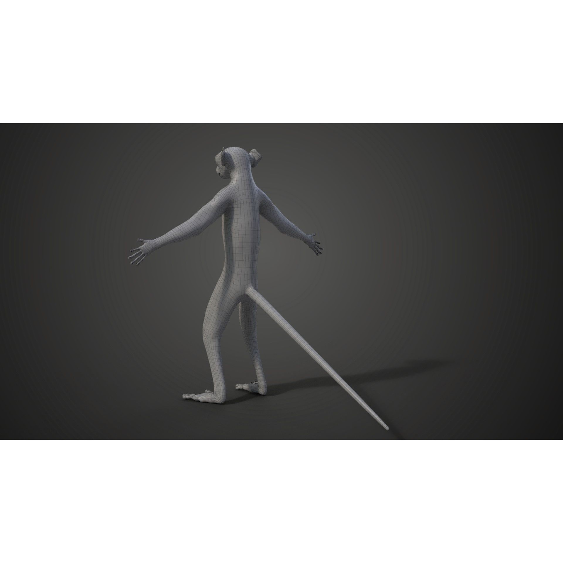 Baby White Sifaka 3D Model – Rigged, High Poly, Blender - View 20